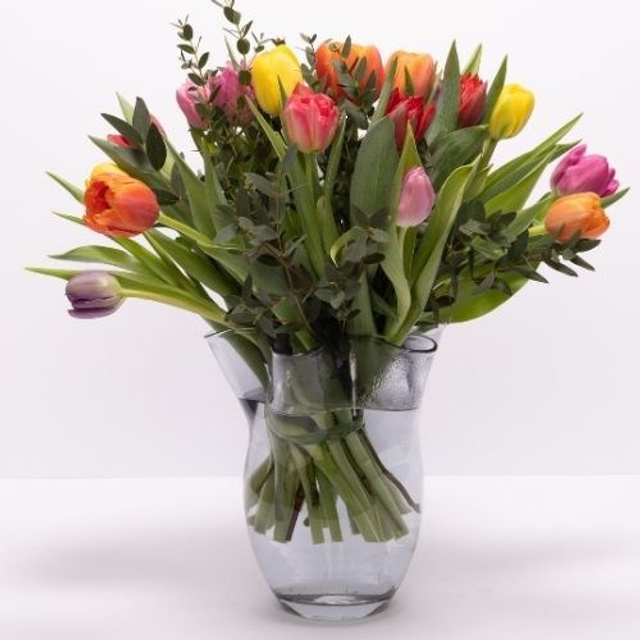 Tulipaner 4 råd om passning. Akropolis Blomster | Din døgn blomsterbutik i Aarhus