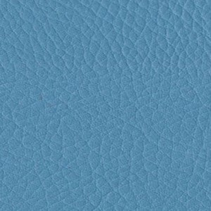 Sedinte foto Craciun Bucuresti