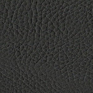 Sedinte foto Craciun Bucuresti