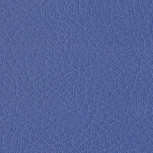 Sedinte foto Craciun Bucuresti