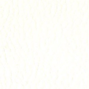 Sedinte foto Craciun Bucuresti