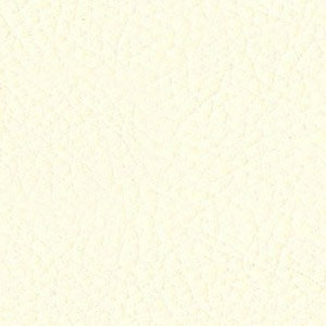 Sedinte foto Craciun Bucuresti