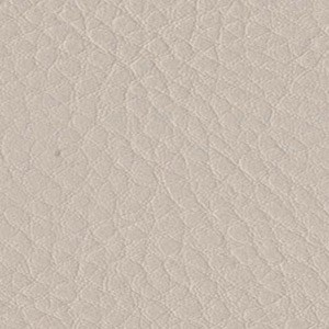 Sedinte foto Craciun Bucuresti