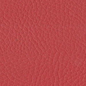 Sedinte foto Craciun Bucuresti