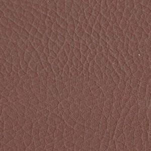 Sedinte foto Craciun Bucuresti