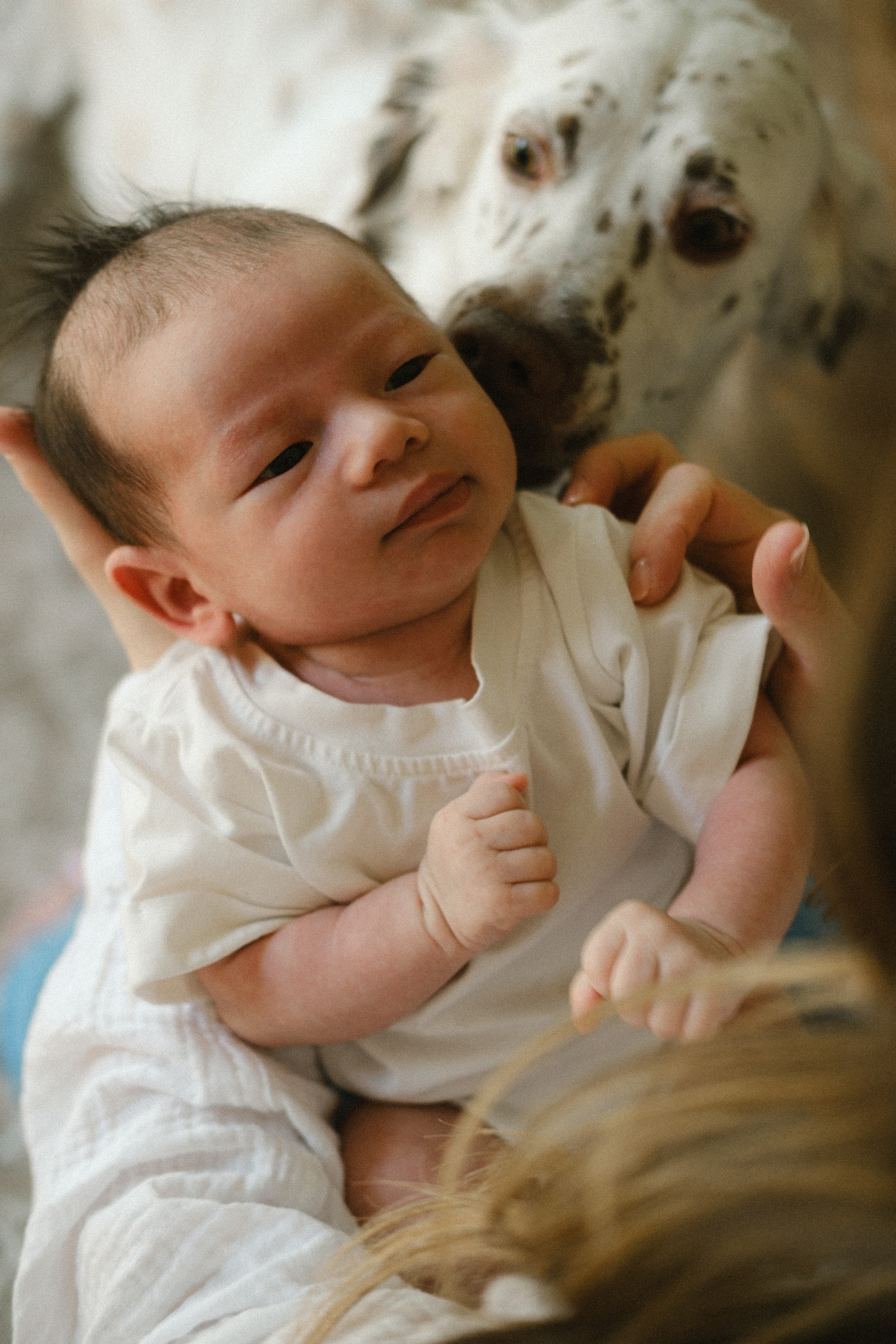 Newborn Photography Portfolio | Documentary Newborn sessions by Anna Dobrovolskaia in Richmond, VA Photography. Family Photographer Anna Dobrovolskaia | Richmond, VA