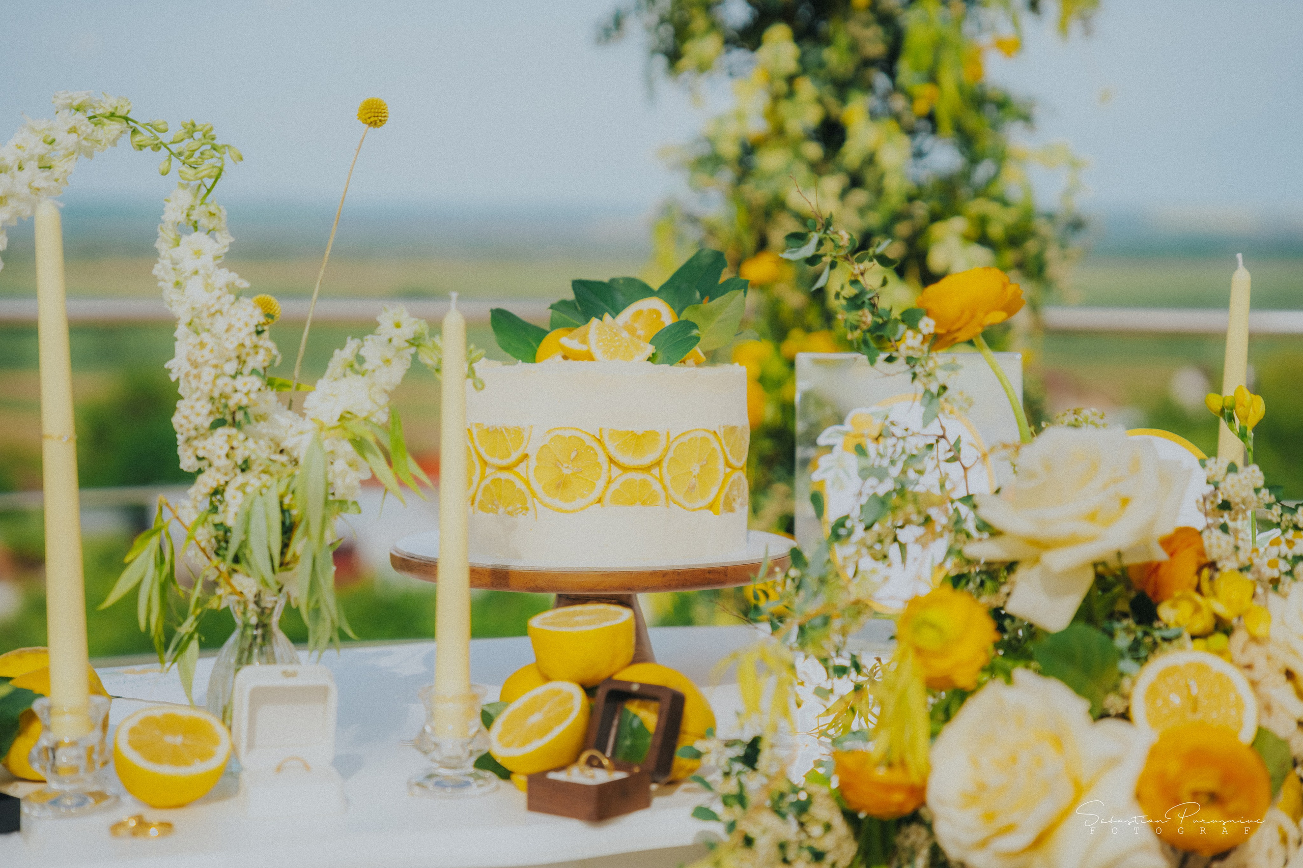 Love & Lemons. Sebastian Purusniuc Fotograf - Iasi