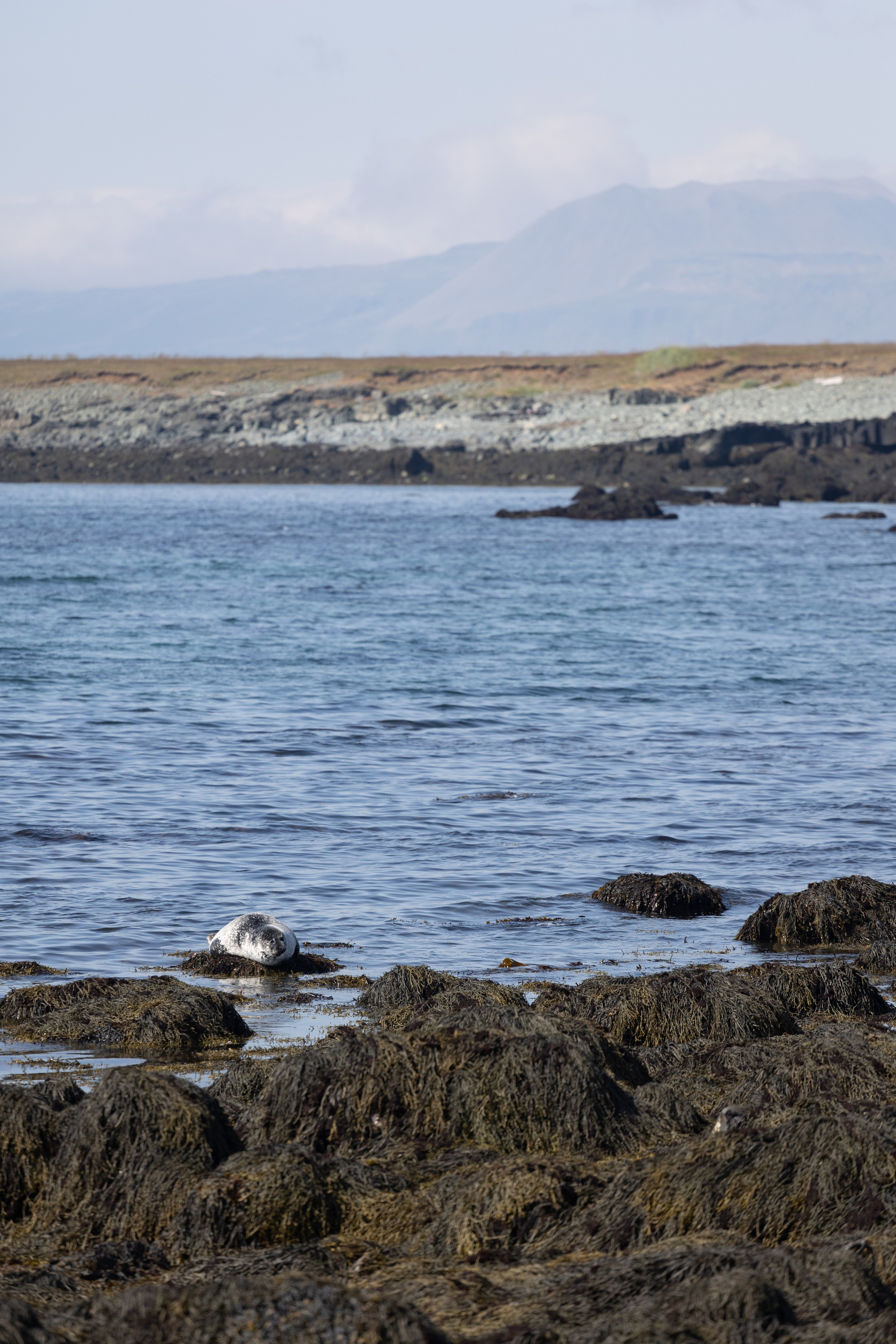 Mon voyage photo en Islande. Eugénie Smirnova — Photographe à Toulouse et dans le Sud-Ouest