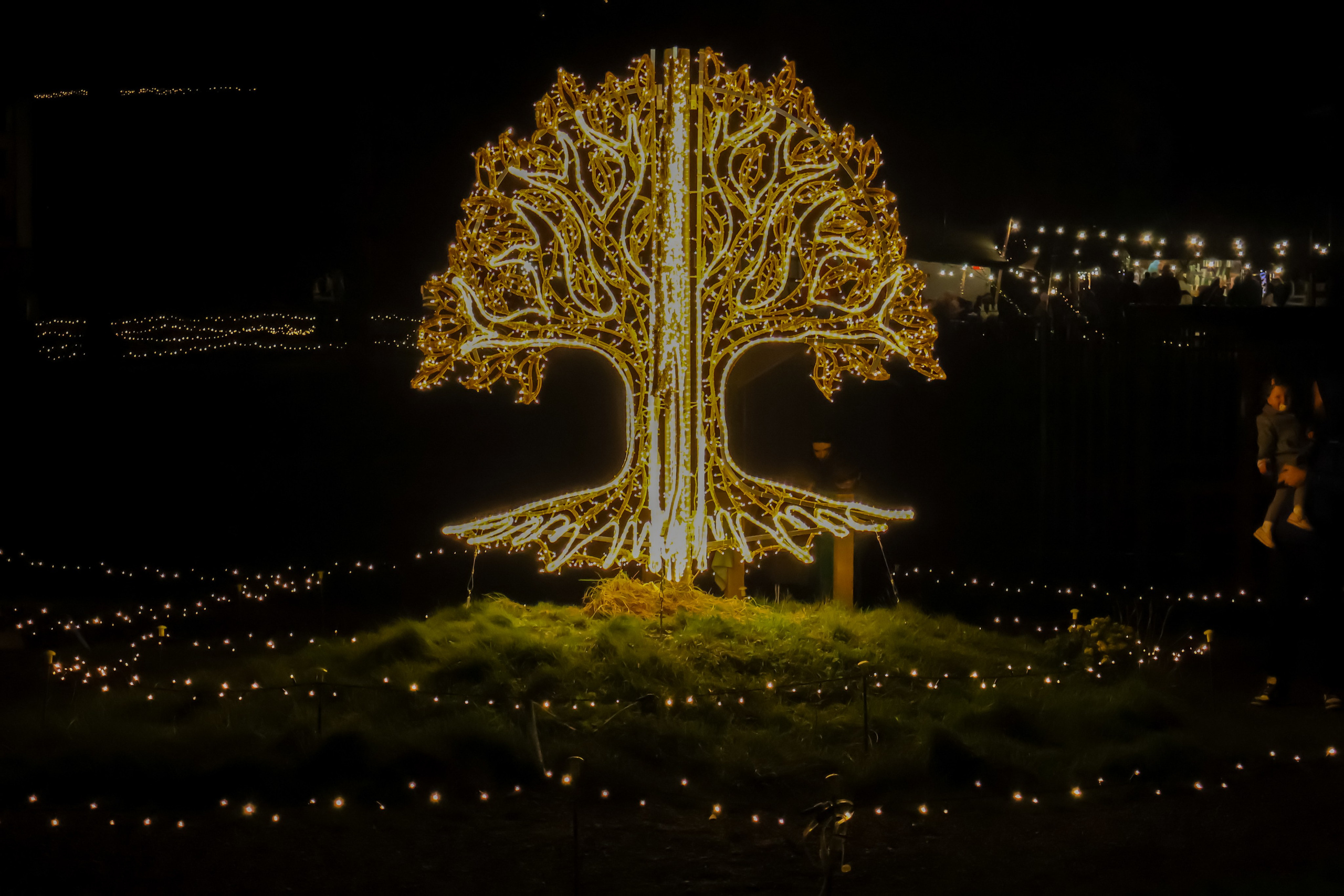 Adventure Lights at SkyPark. Create with Twila