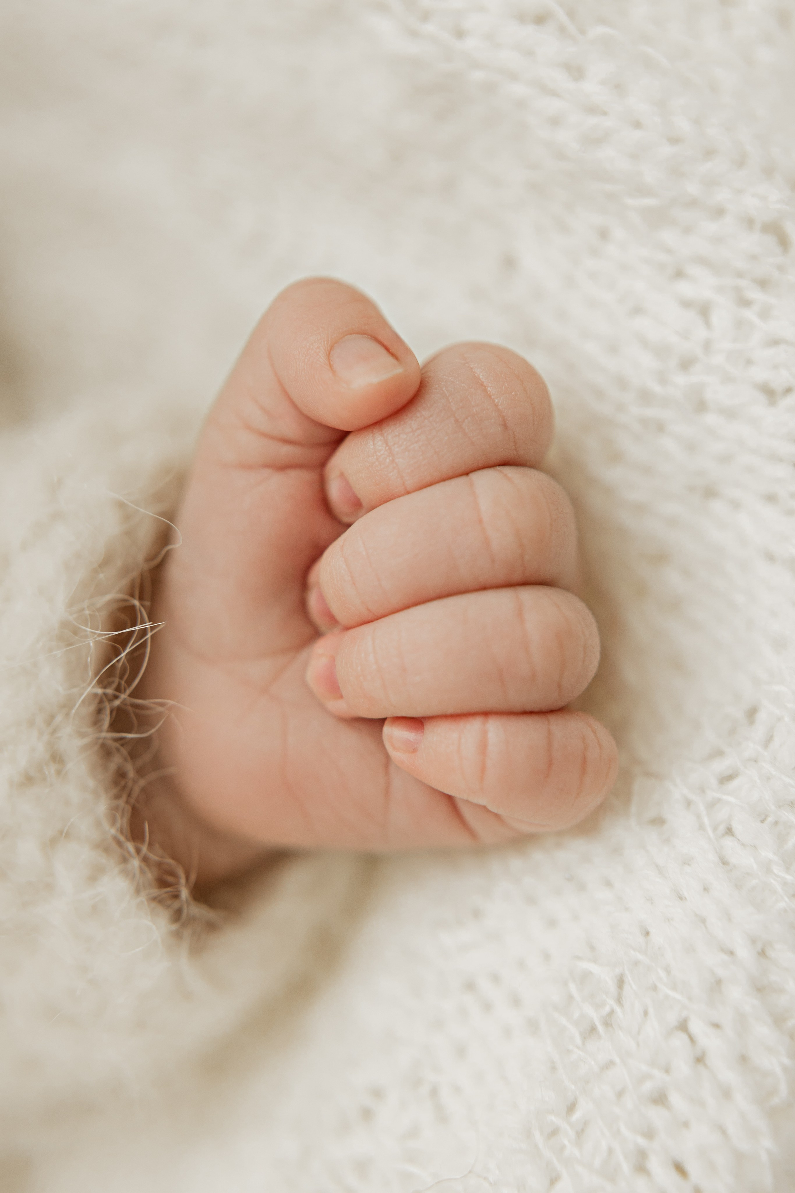 Newborn. Anna Levina Photography