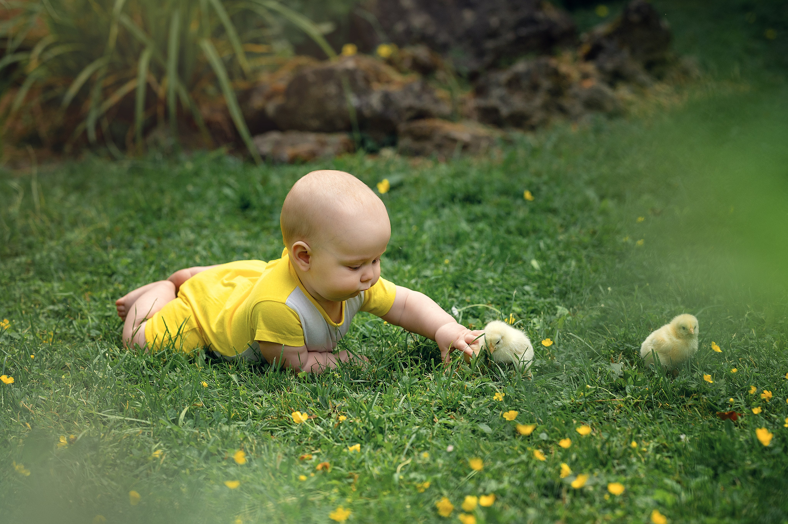 Fototag „Küken“. Newbornfotograf Kinderfotograf Ulm Familienfotograf Anastasia Neu-Ulm