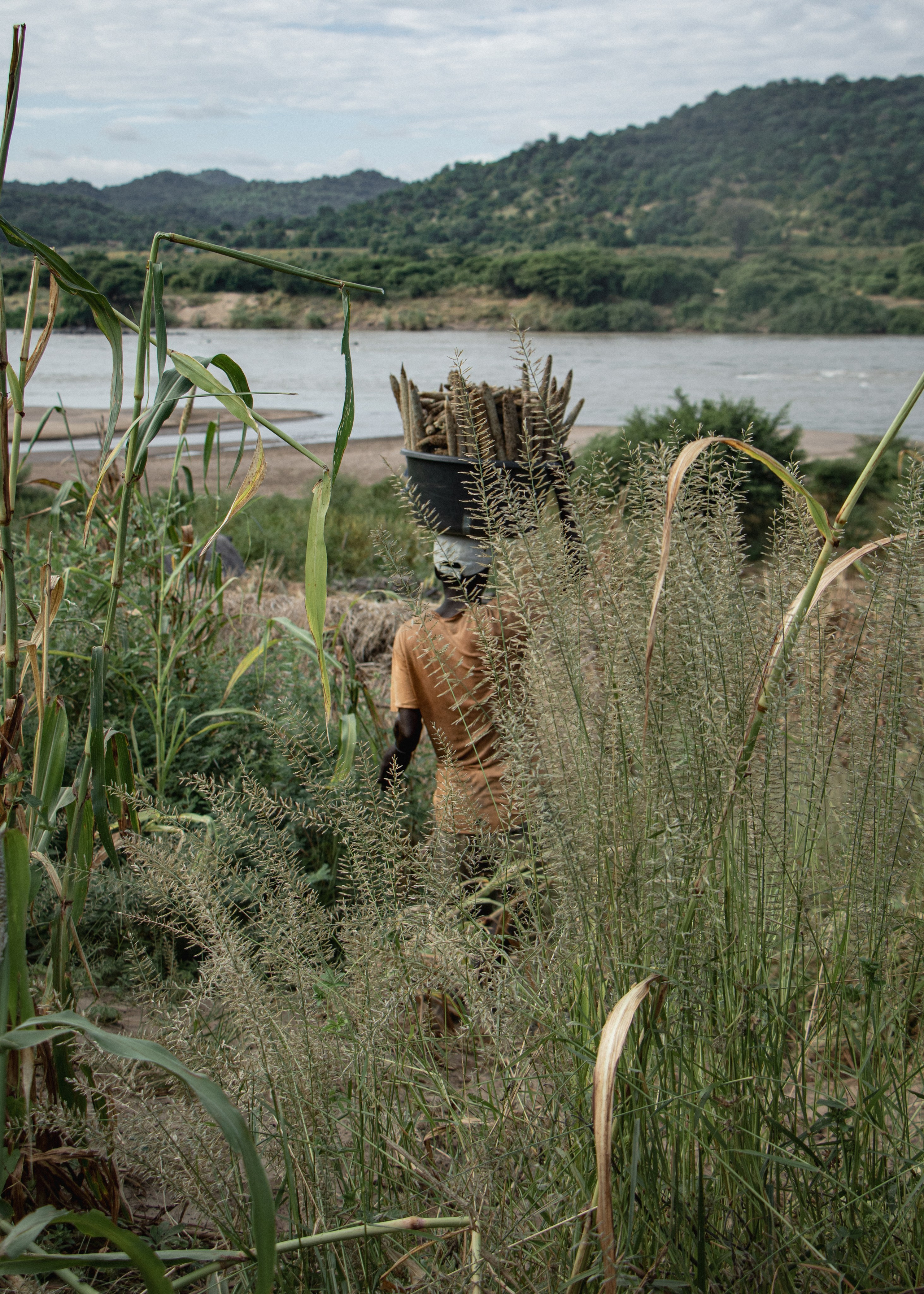 Alexandre, agriculteur à Chirodzi, remonte du maïs de ses plantations pour ses réserves. Comme de nombreuses familles de la région, il dépend de la terre pour se nourrir et survivre.