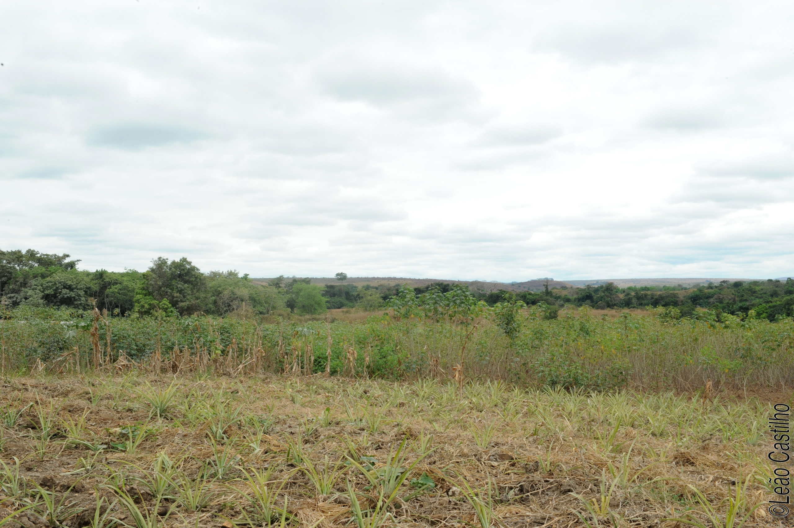 Photos of agriculture for the people of Muindi project. Simbahalu