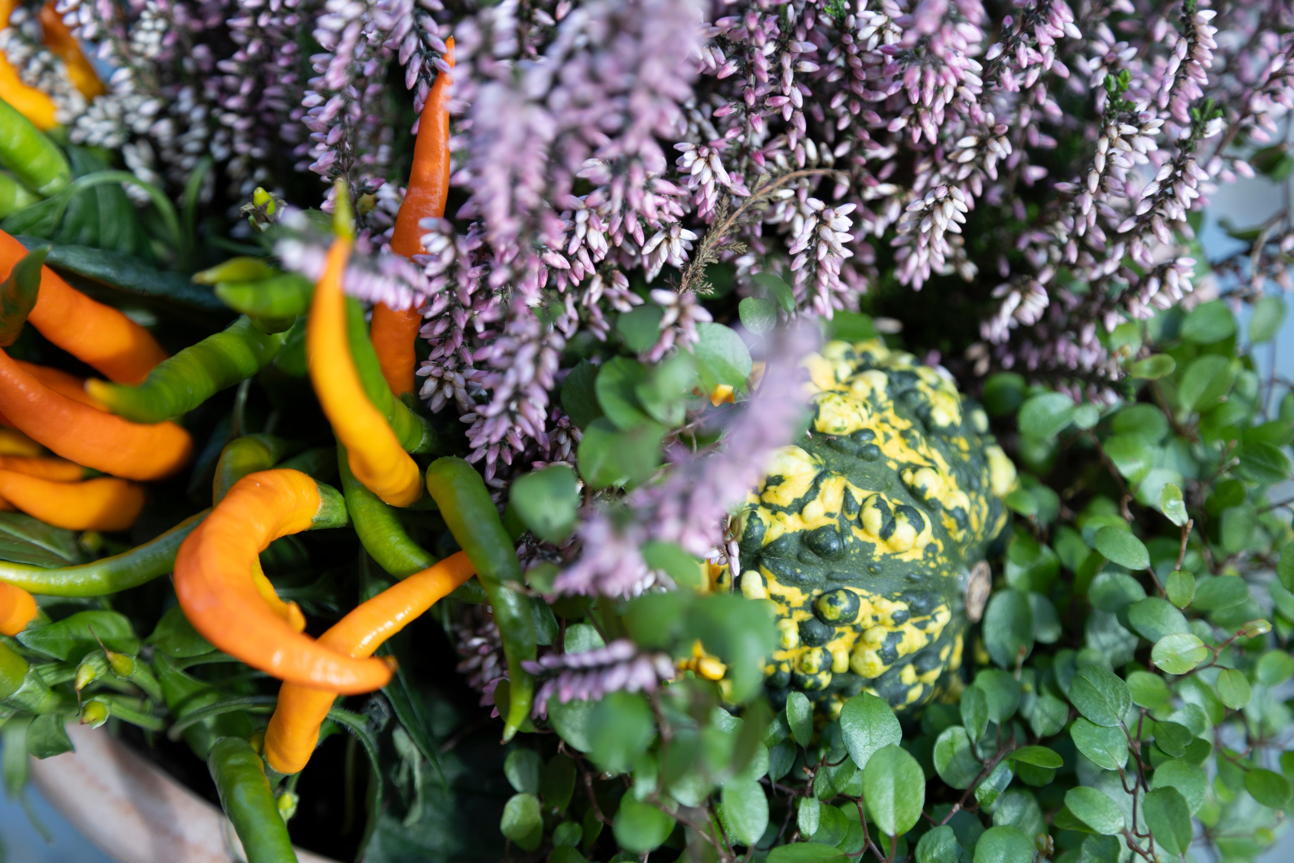 Gavekurve i Aarhus. Akropolis Blomster | Din døgn blomsterbutik i Aarhus