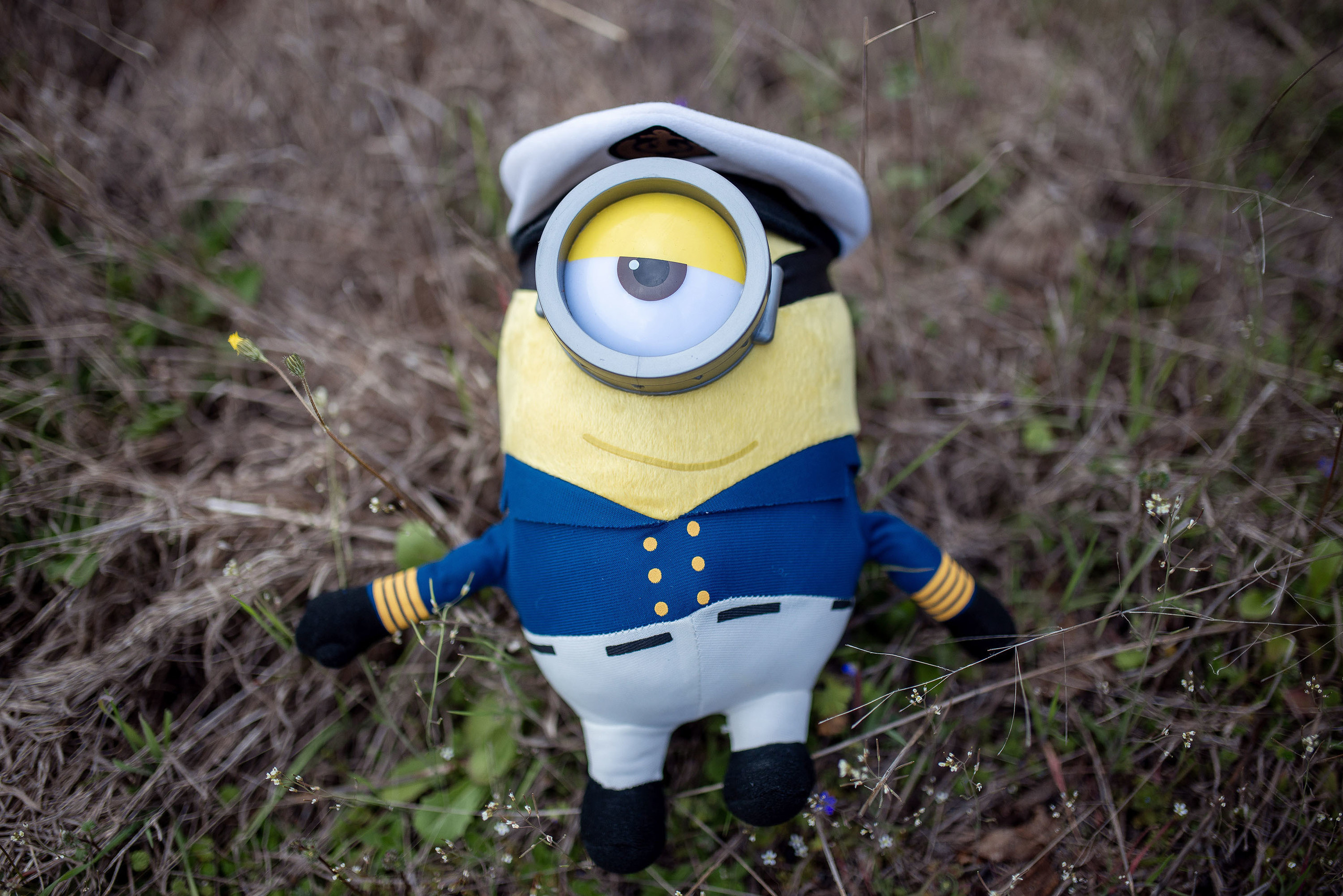 Preboda La Peña Estación, Pirineos - Ana y David -. PIXLOVE - Fotógrafos de bodas Huesca Pirineos Zaragoza