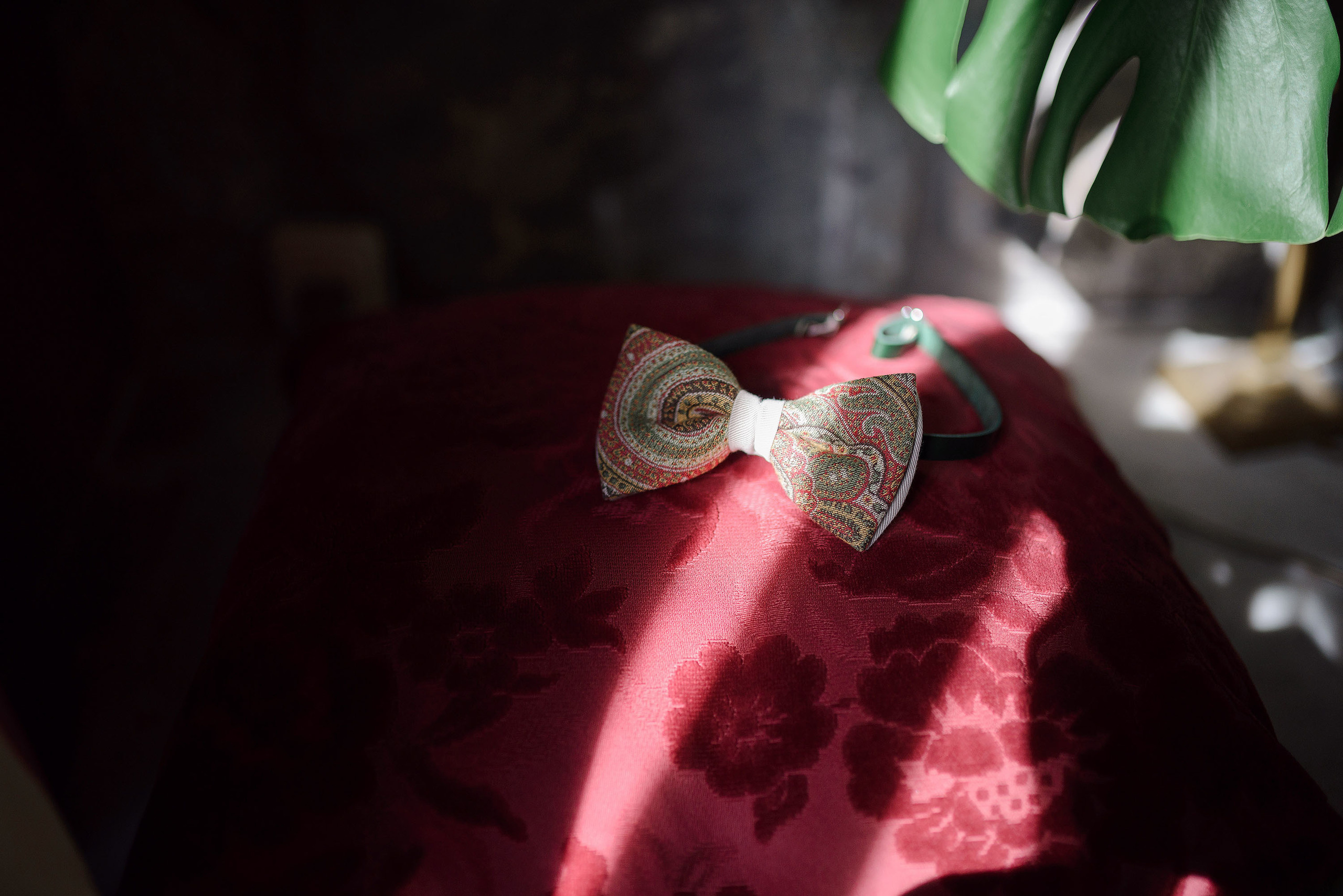 Boda Sallent de Gallego - Maria y Txomin - Fotografos bodas Pirineo. PIXLOVE - Fotógrafos de bodas Huesca Pirineos Zaragoza