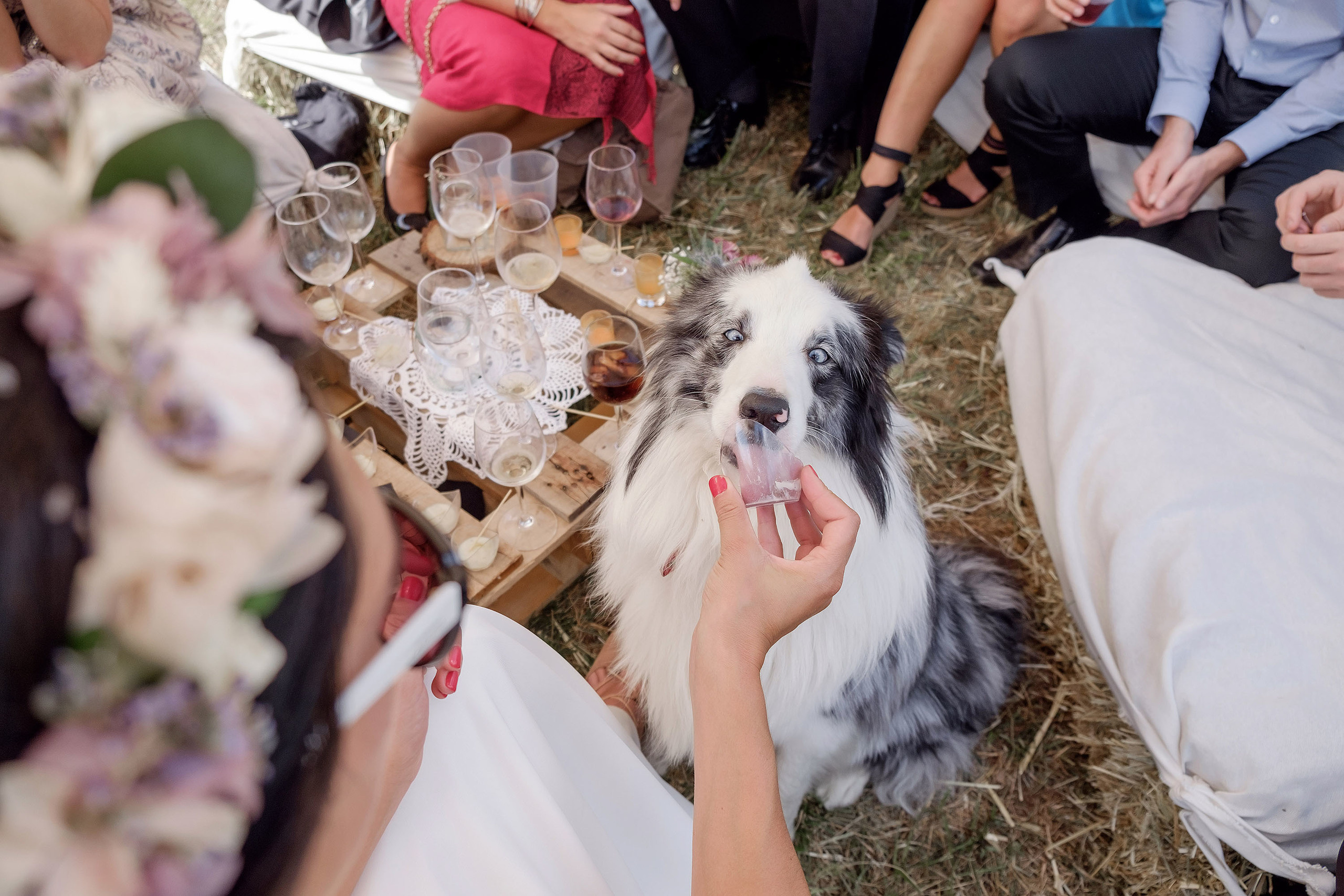 Boda Sallent de Gallego - Maria y Txomin - Fotografos bodas Pirineo. PIXLOVE - Fotógrafos de bodas Huesca Pirineos Zaragoza