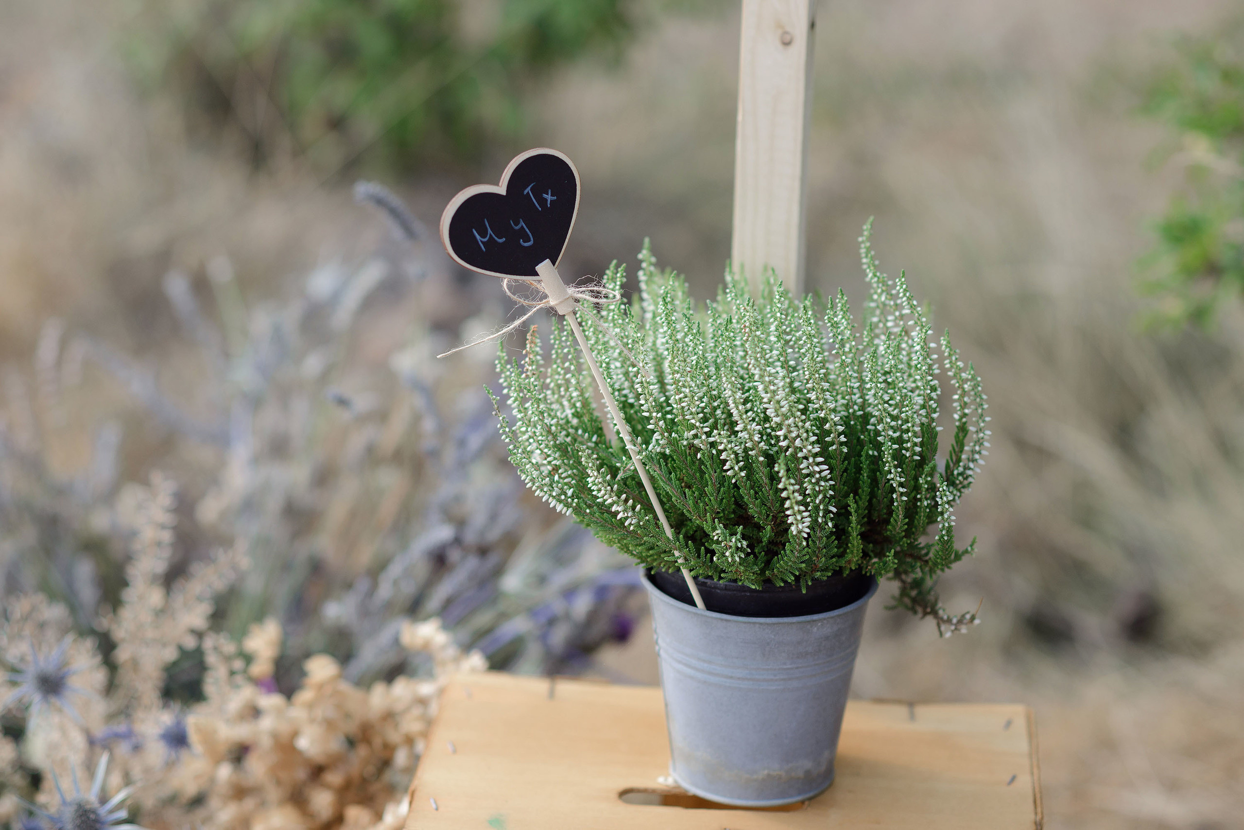 Boda Sallent de Gallego - Maria y Txomin - Fotografos bodas Pirineo. PIXLOVE - Fotógrafos de bodas Huesca Pirineos Zaragoza