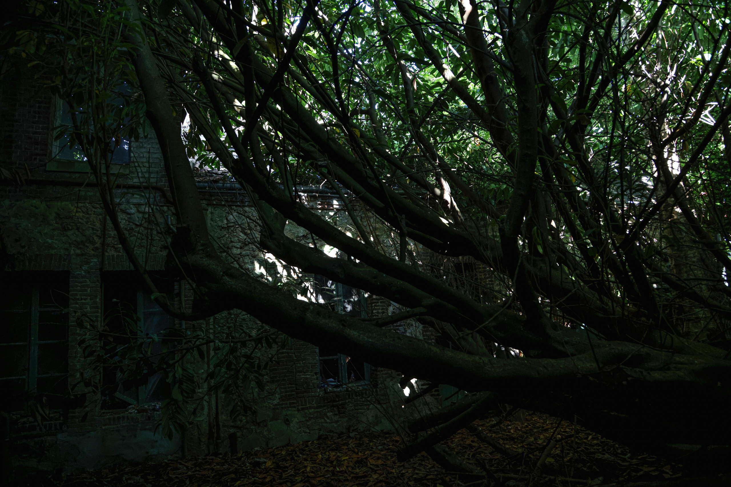 Fécamp patrimoine. Natalia Bogdanovska. Films et photographie corporate en France