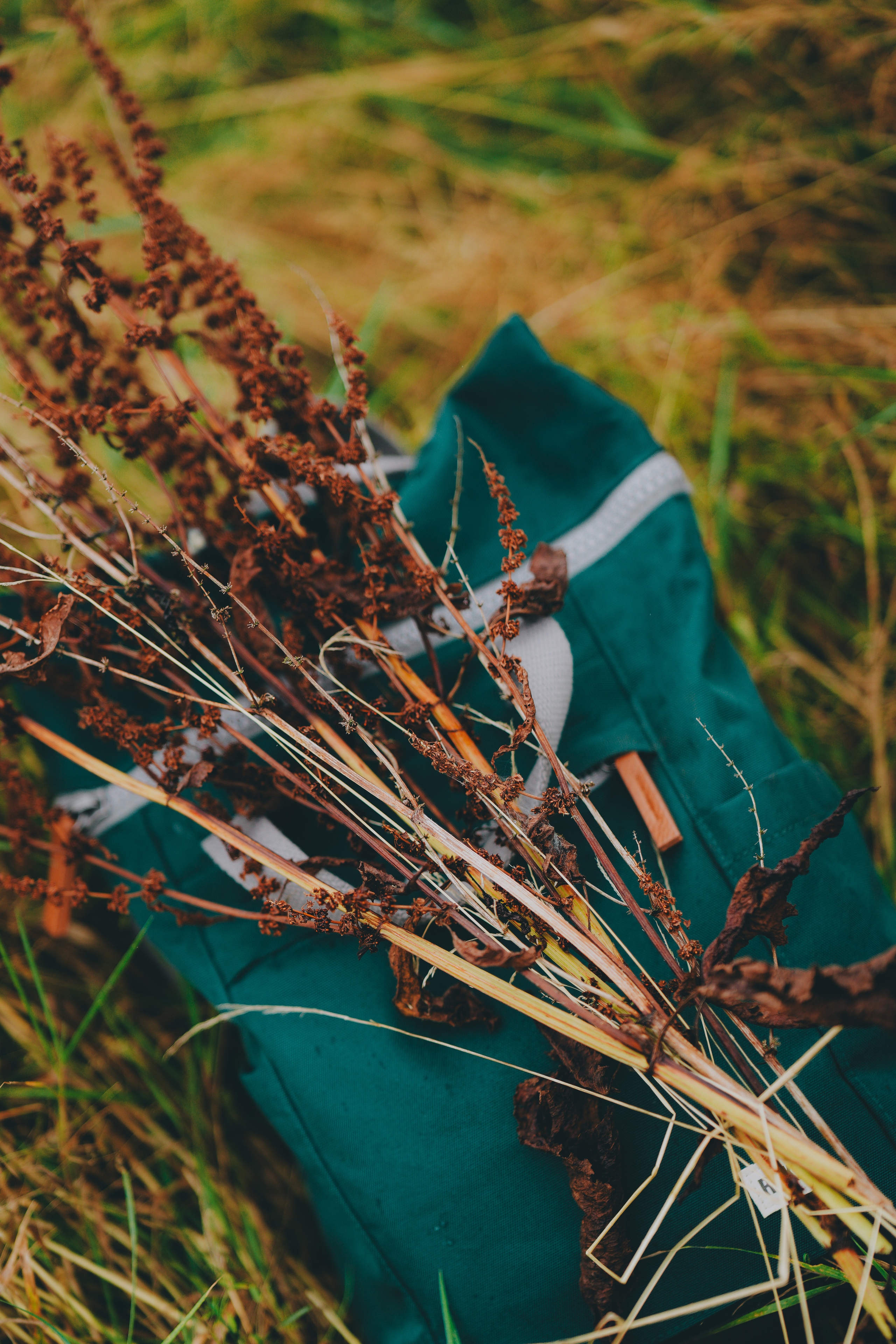 Artistic brand photo session in Tamworth. Creative Family, Brand, Boudoir and Wedding Photographer in Solihull & Birmingham Irina Zoteeva