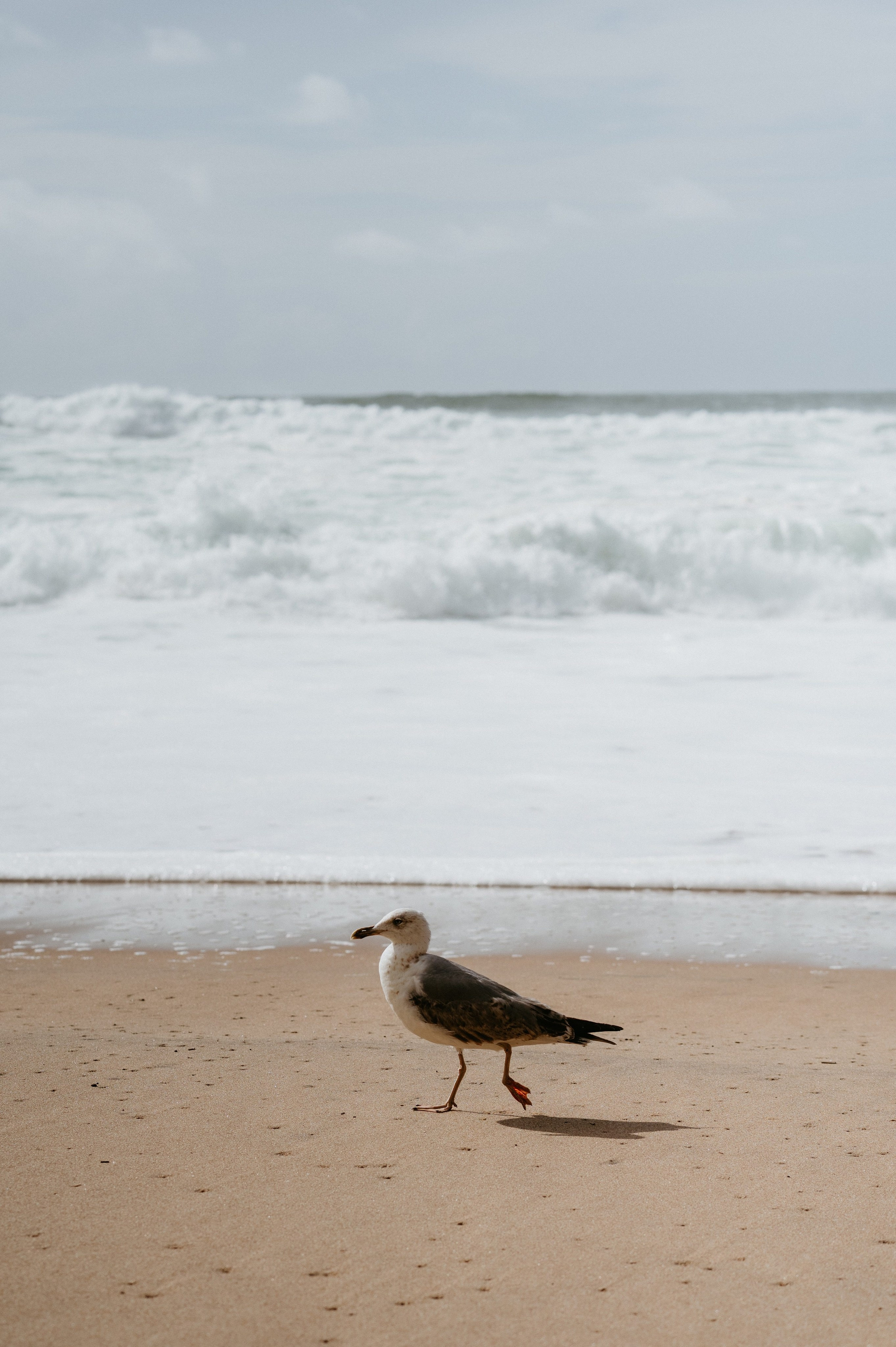 Ședință foto de nuntă pe plaja Adraga – emoție la malul oceanului Atlantic. Valentin Melen — wedding photographer