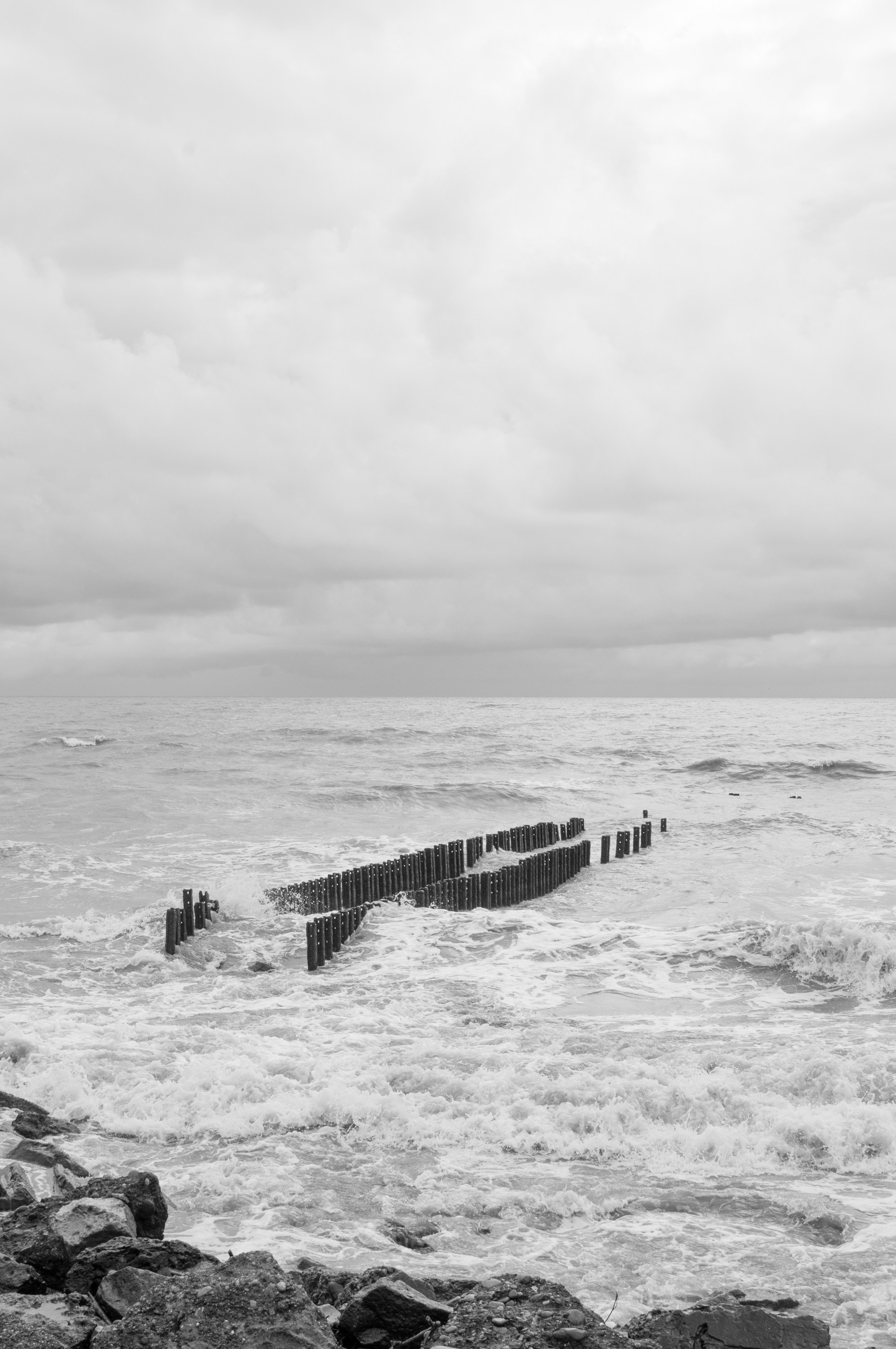 Under the Phasis' Sun. Mayya Kelova artist