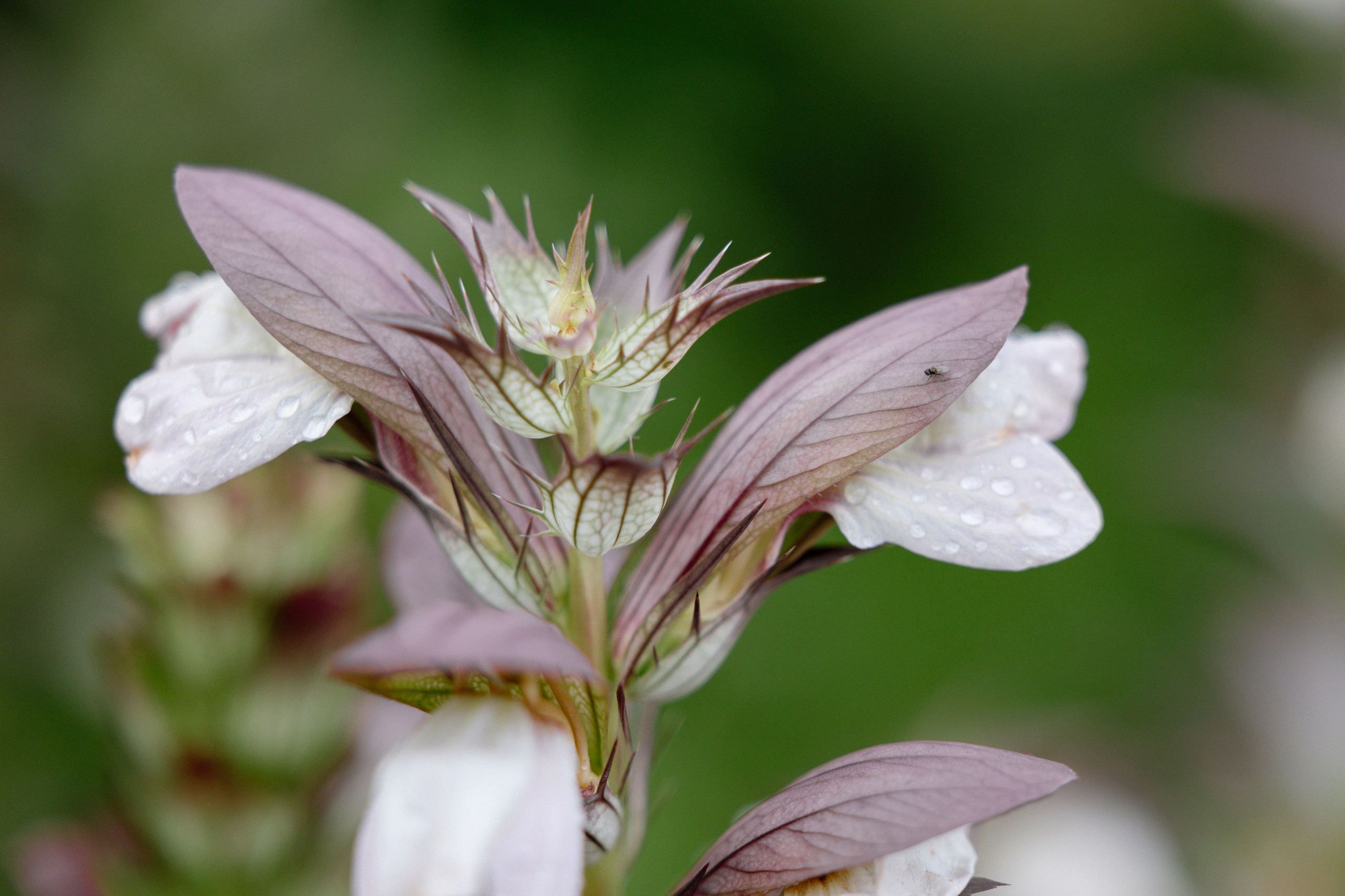 Intimate and emotional wedding. Timeless Wedding & Event Photography — based London, working across Europe