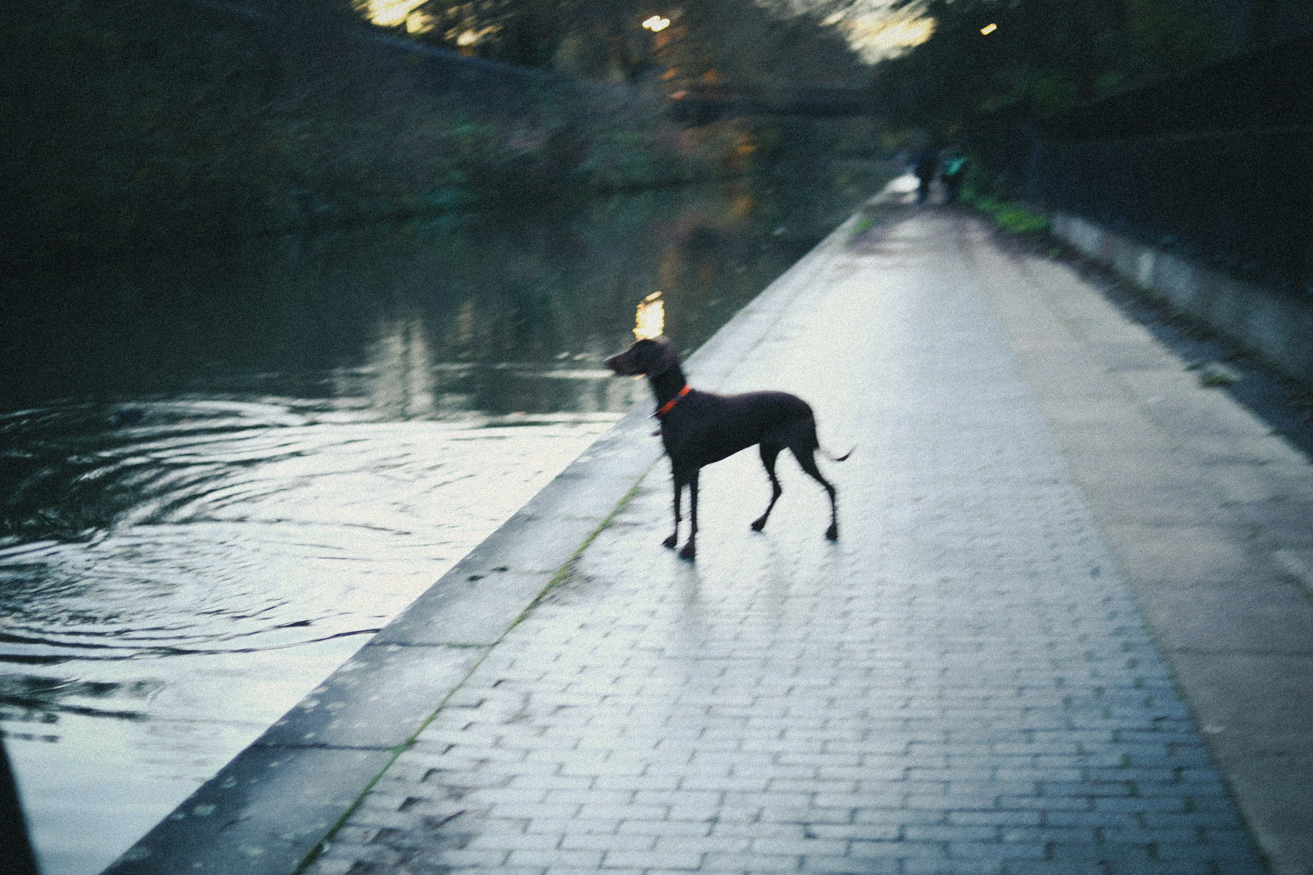 Regents Canal Vi. Victoria Dini. Art photography in London / Folkestone, UK