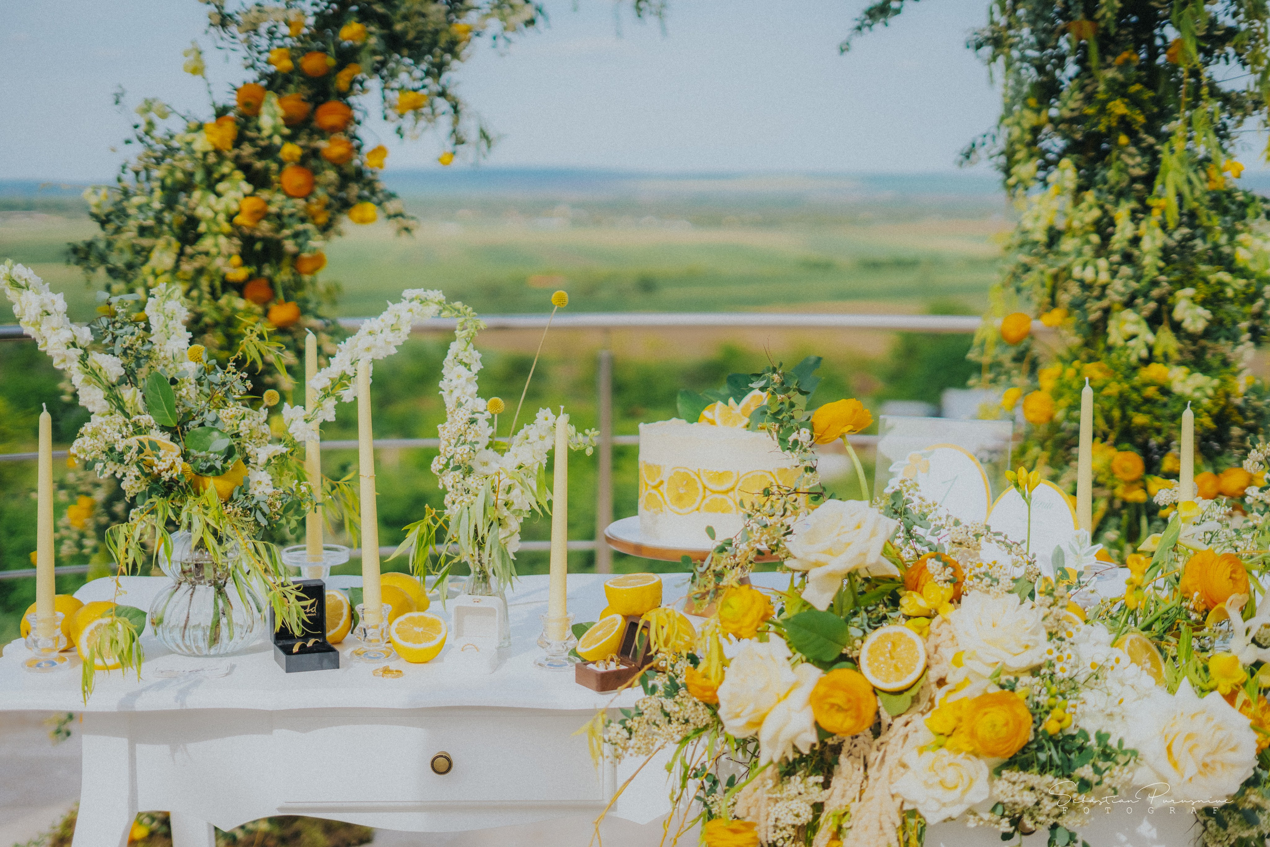 Love & Lemons. Sebastian Purusniuc Fotograf - Iasi