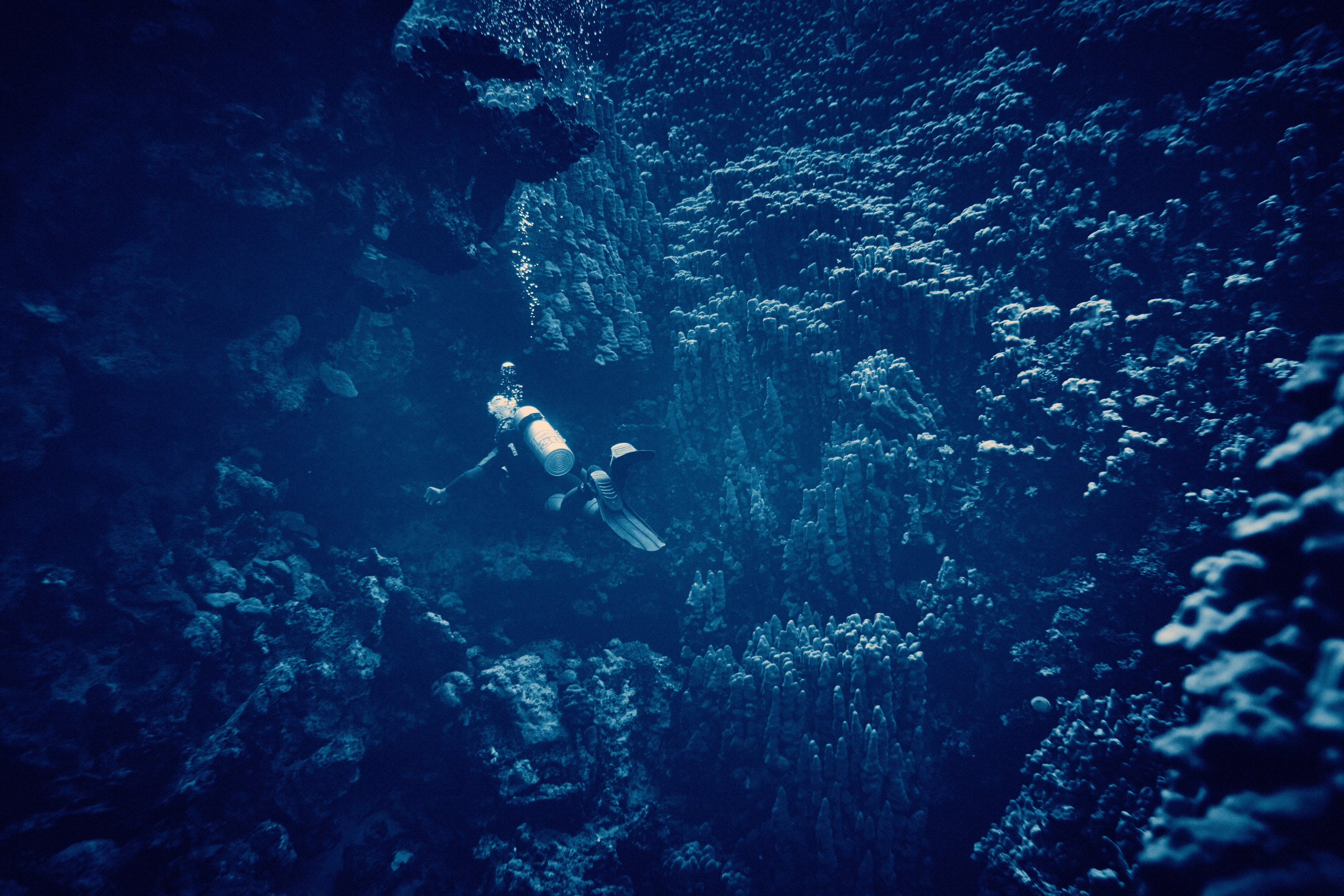 Podwodny fotograf - Andriej Szypilow - underwater photography. Tajemnica - wielka, głęboka i wszechobecna - to jest ta jakość, której przede wszystkim szukam w fotografii podwodnej...