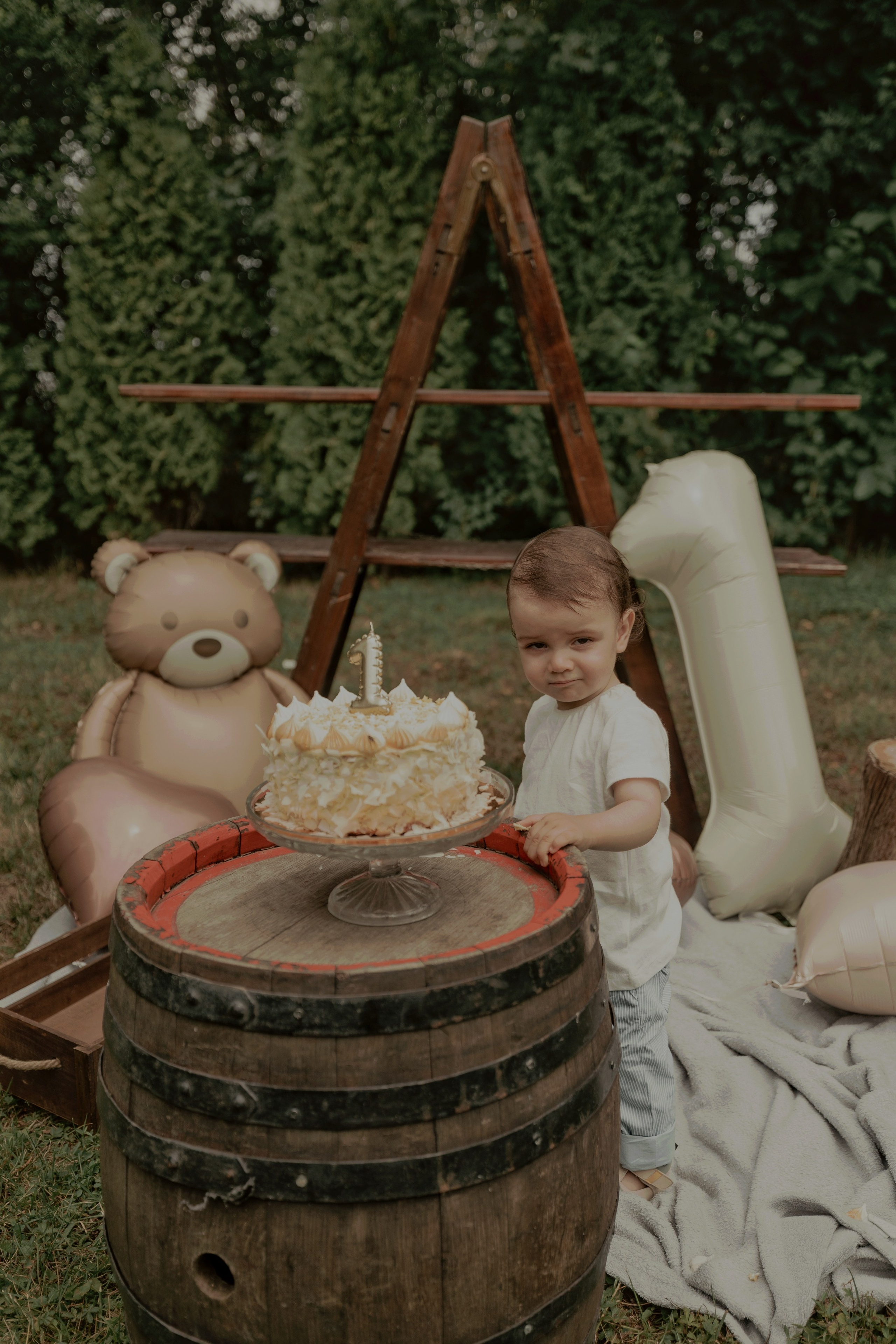 Armin — Micul explorator împlinește 1 an. Emotions Photo Art