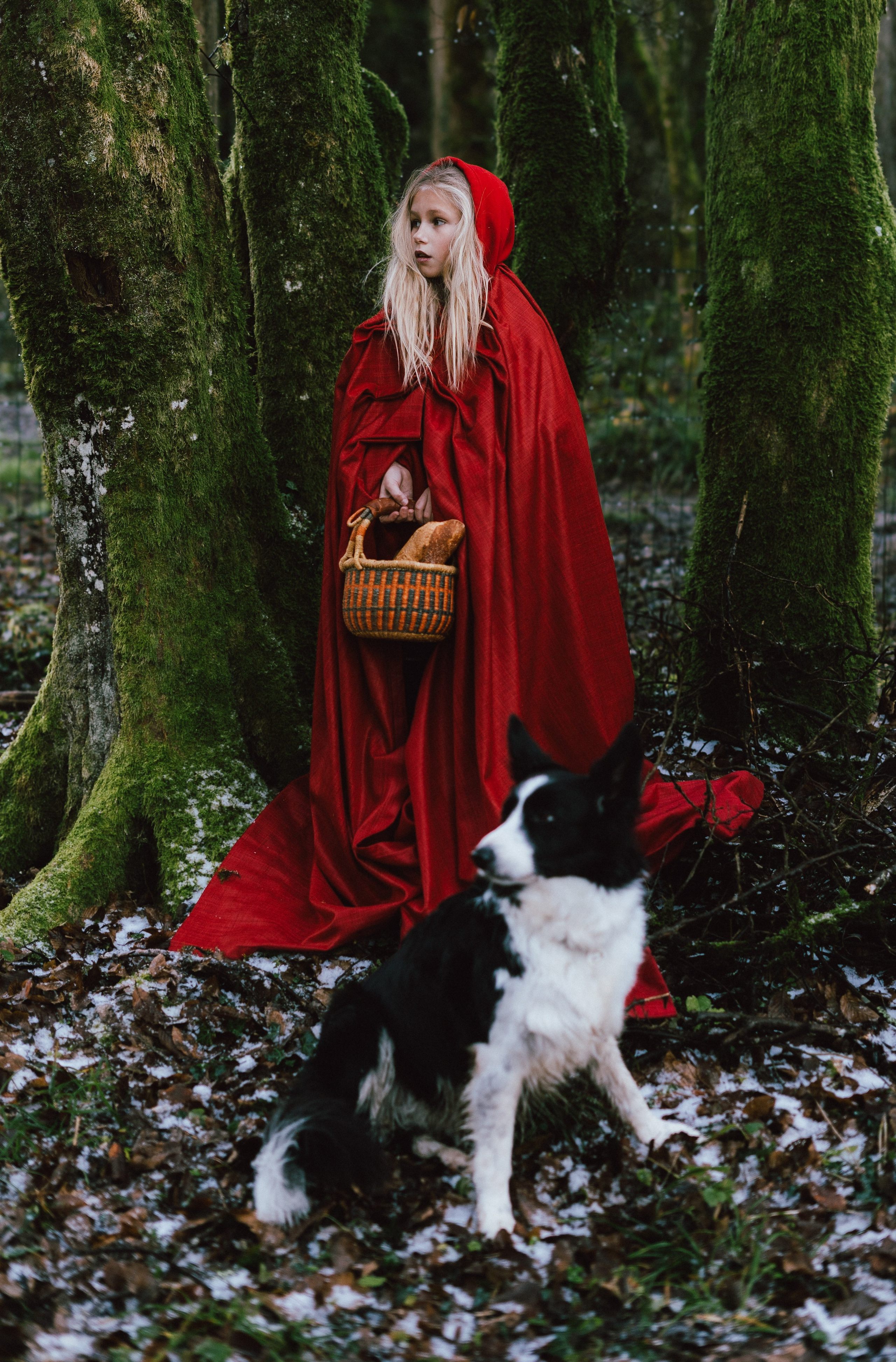 Little Red Hood. Diana Fedrigo | Fotografa matrimoni in Italia