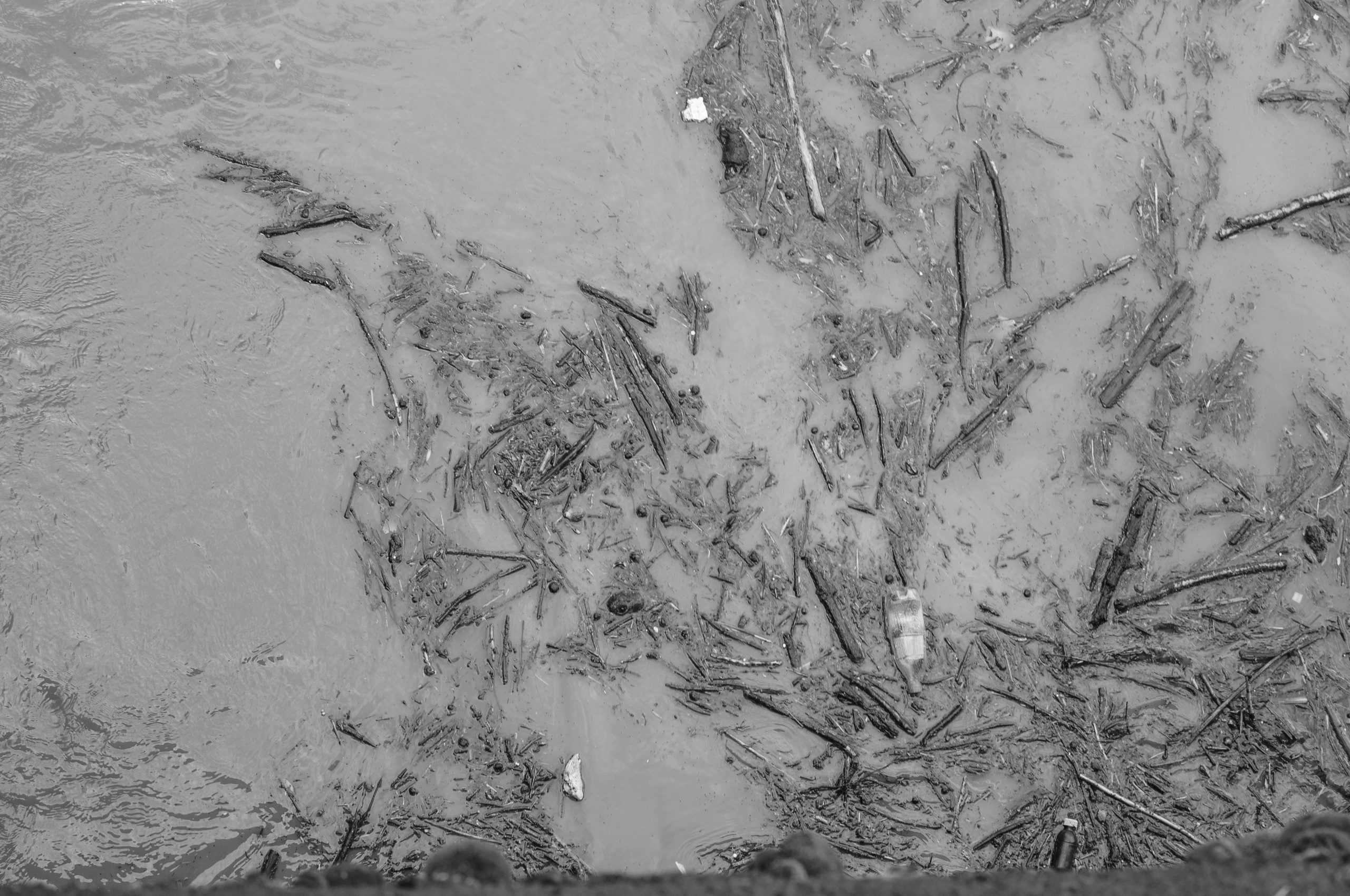 Under the Phasis' Sun. Mayya Kelova artist