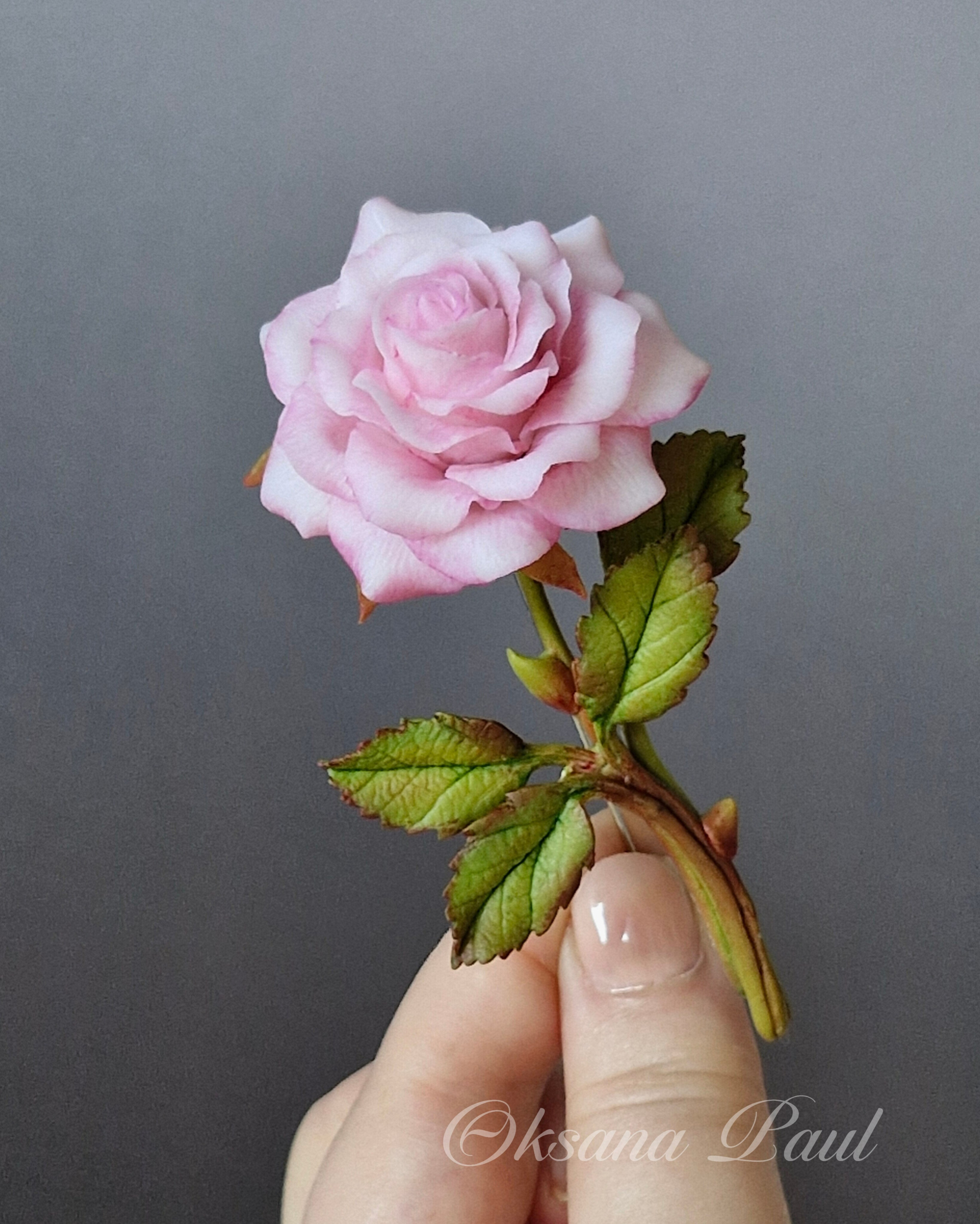 Броши с цветами / Blumen-Broschen ➜. Oksana Paul-Gardinen-Design Oksana Paul ✧ Art of Gardinen & Textile Design ✧ Polymer Clay Art & Handmade Creatures