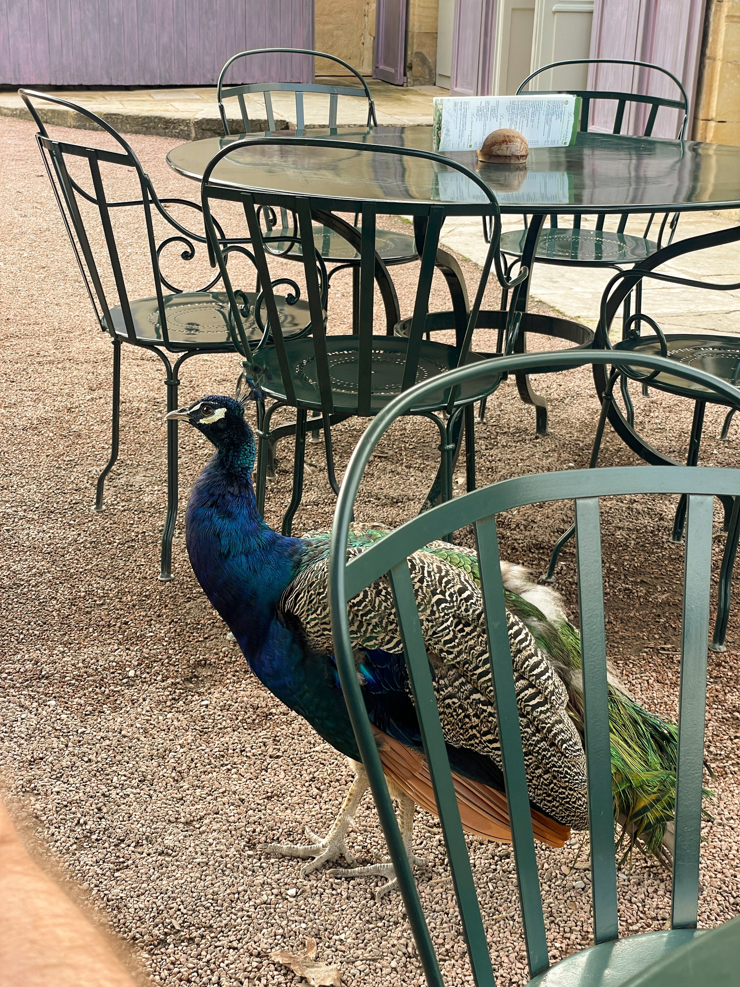 Осенние каникулы 2024 в департаменте Дордонь, Франция. Евгения Смирнова — фотограф в Тулузе и юго-западной Франции