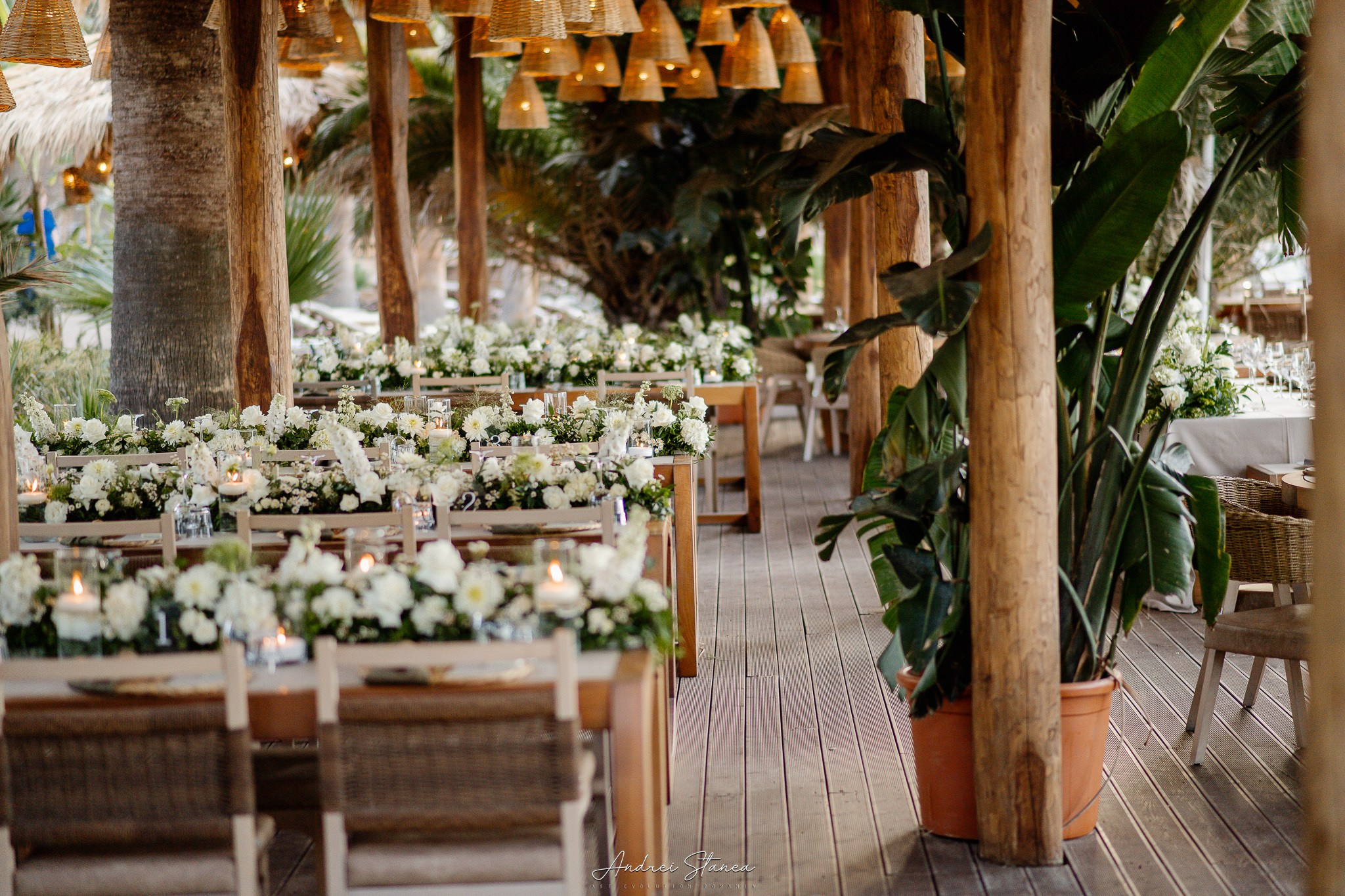 Sorina & Razvan. Andrei Stanea