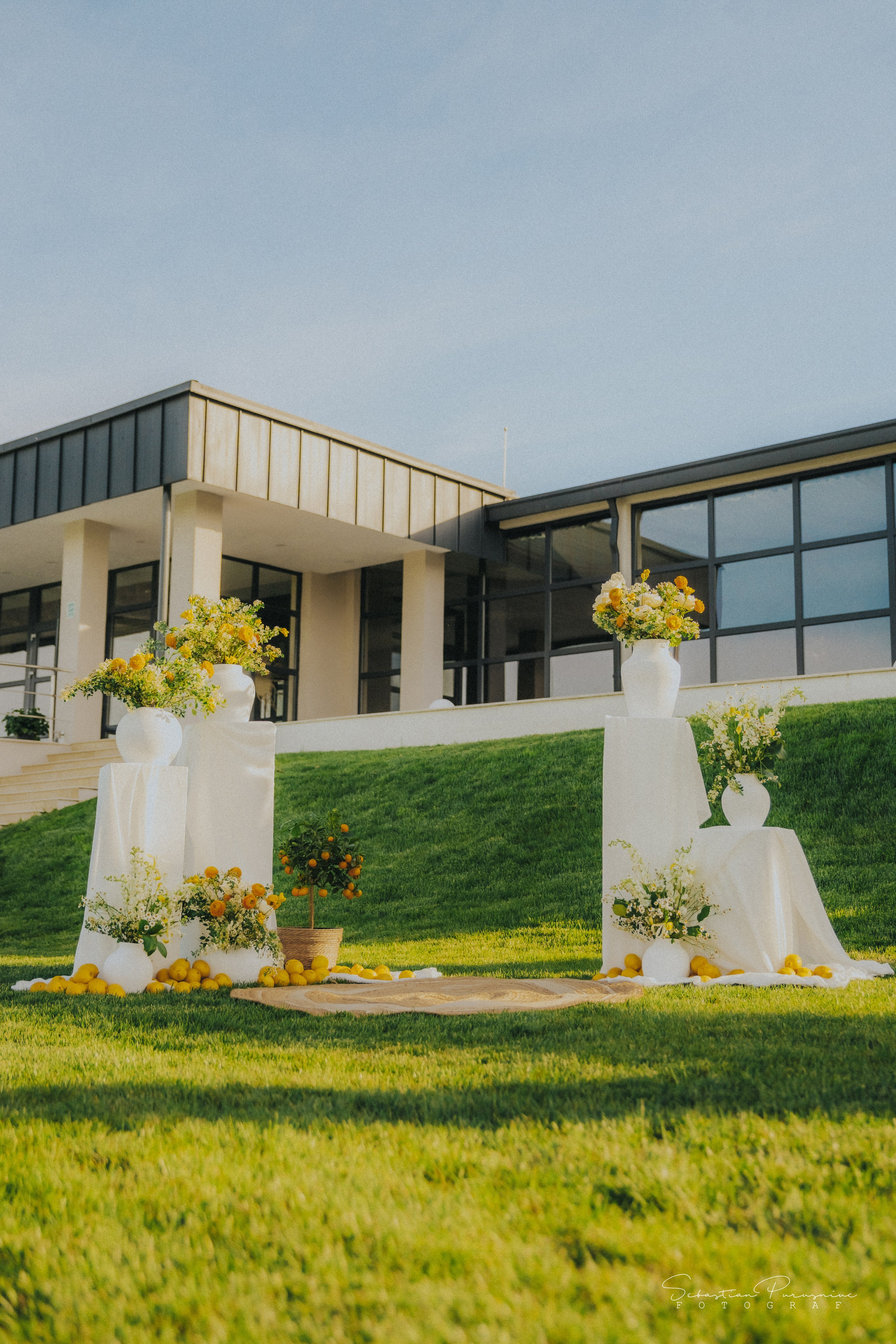 Love & Lemons. Sebastian Purusniuc Fotograf - Iasi