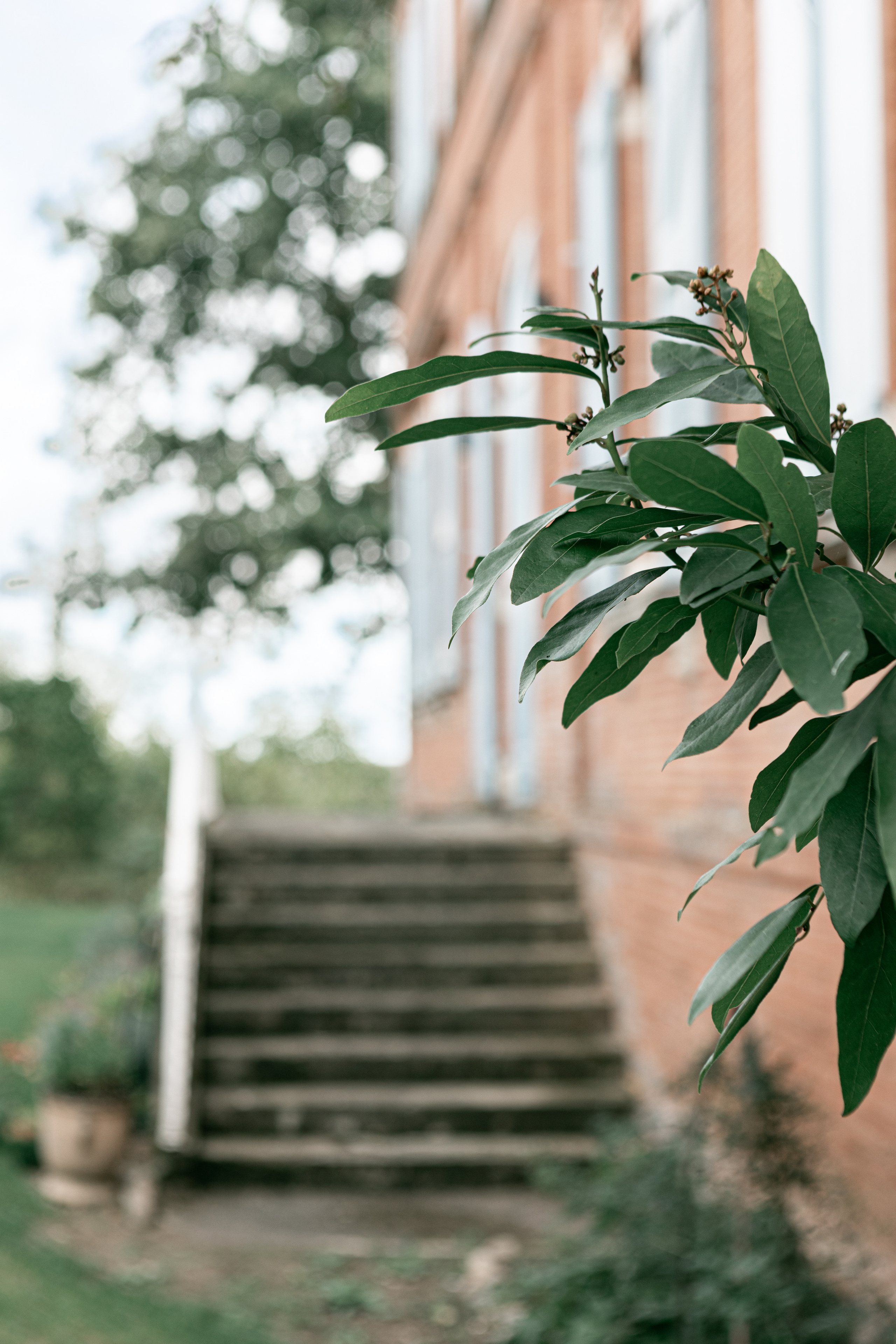 Emerald themed wedding in Château de Puydaniel. Евгения Смирнова — фотограф в Тулузе и юго-западной Франции