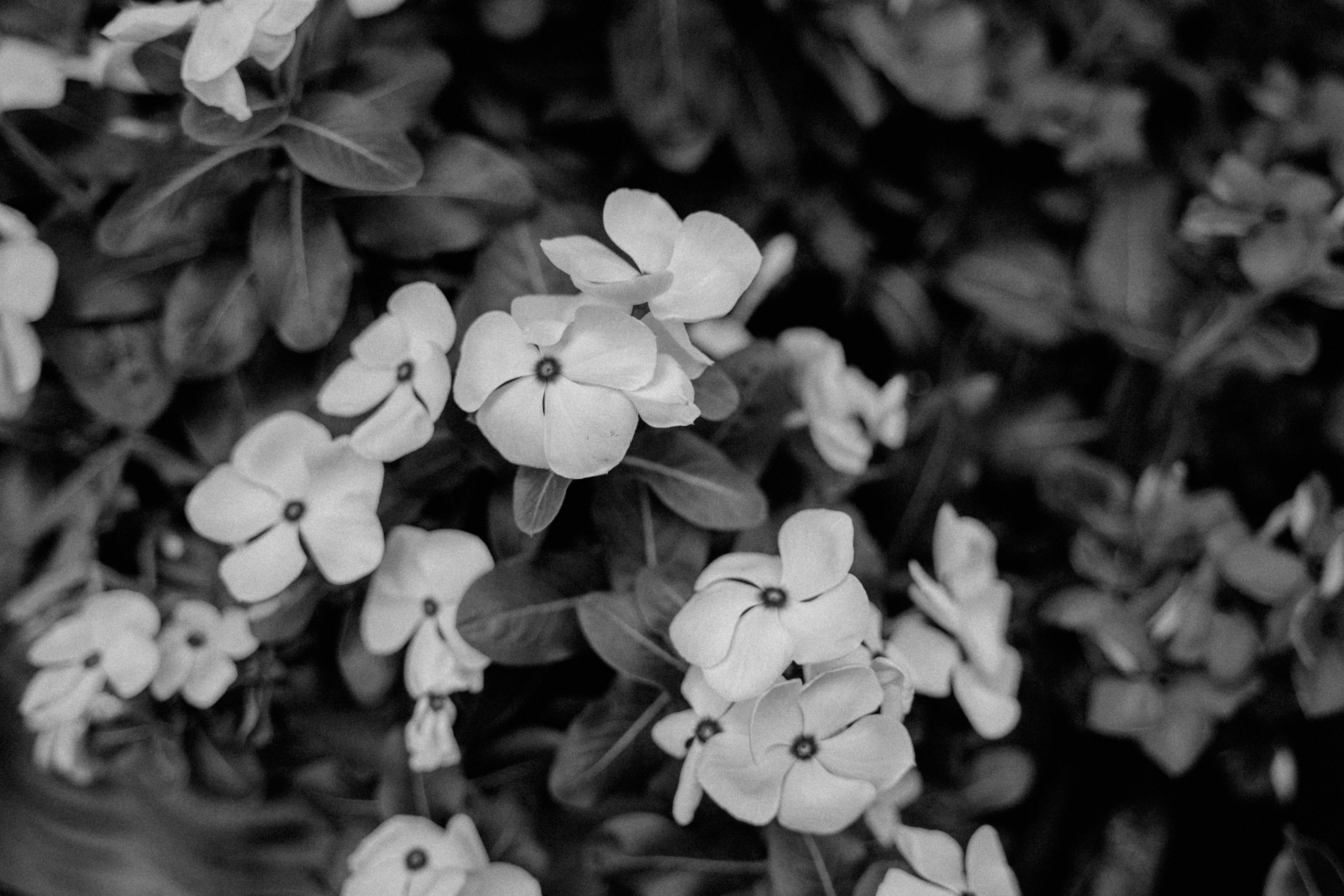 Authentische und emotionale Familienfotos in Landshut und Umgebung