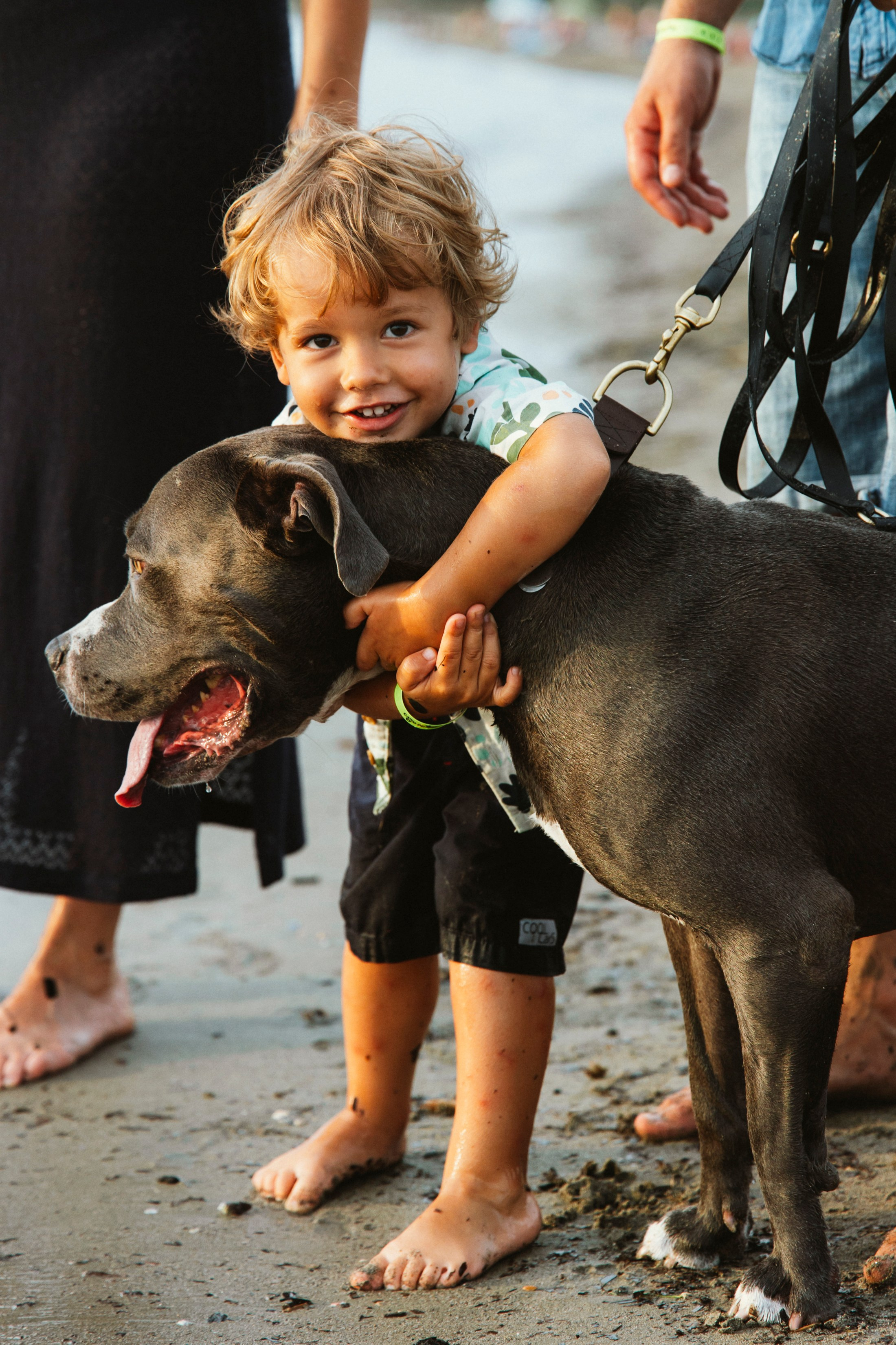 Организационный сбор. Семейные лагеря в Европе с Ниной Янечковой и Ириной Зиновьевой