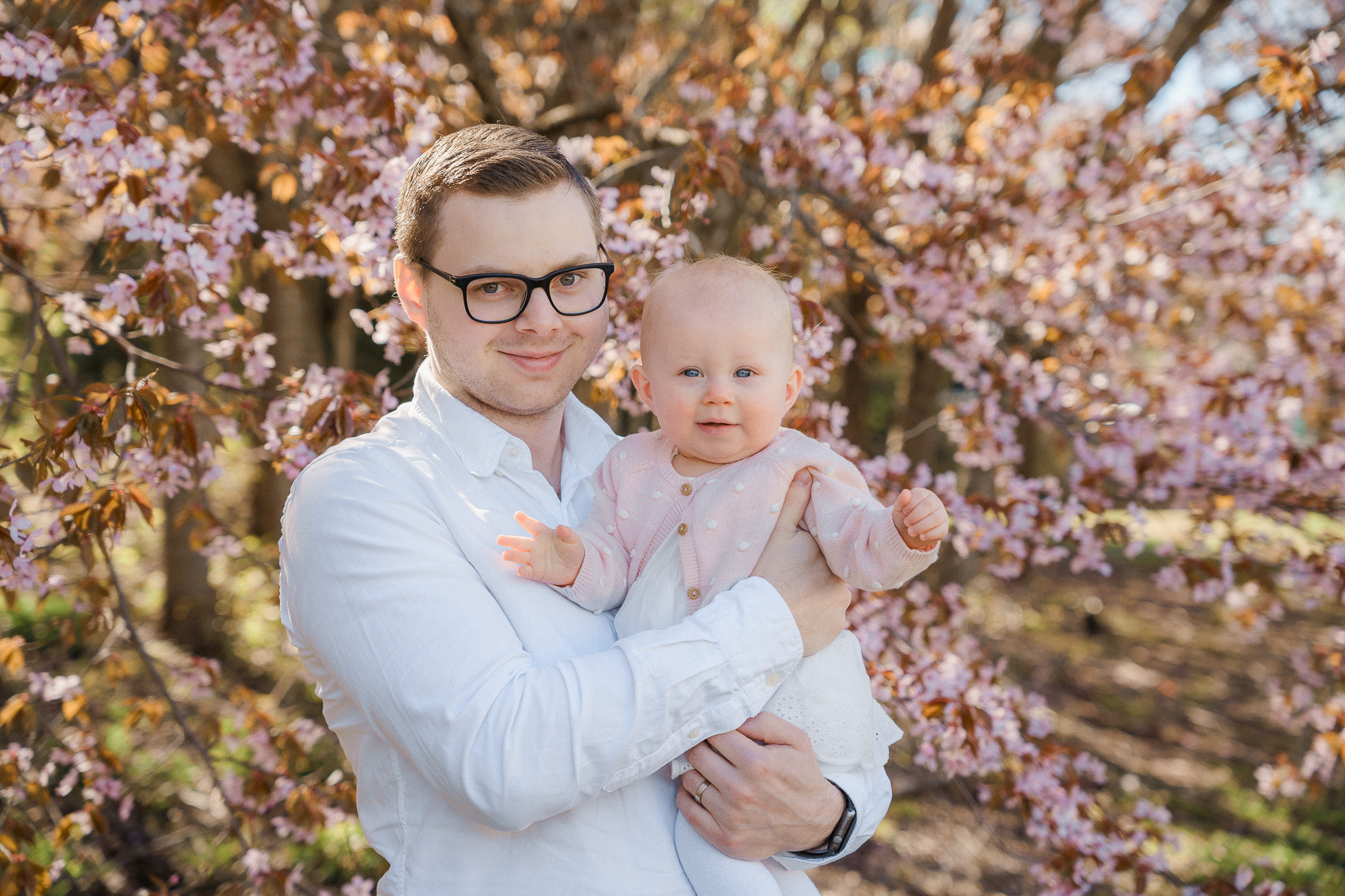 Perhekuvaus kirsikkapuistossa