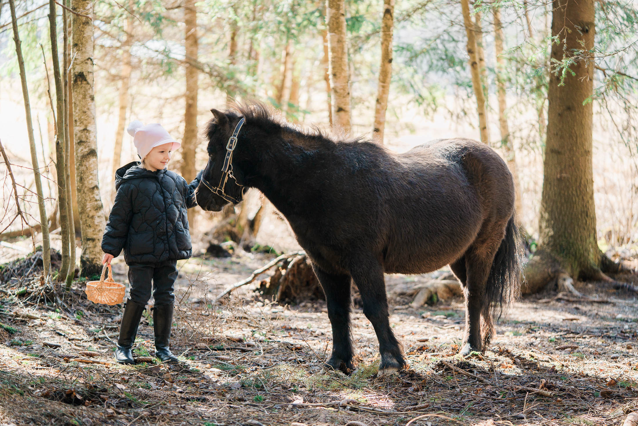 Koirien, kissojen, hevostenkuvaus