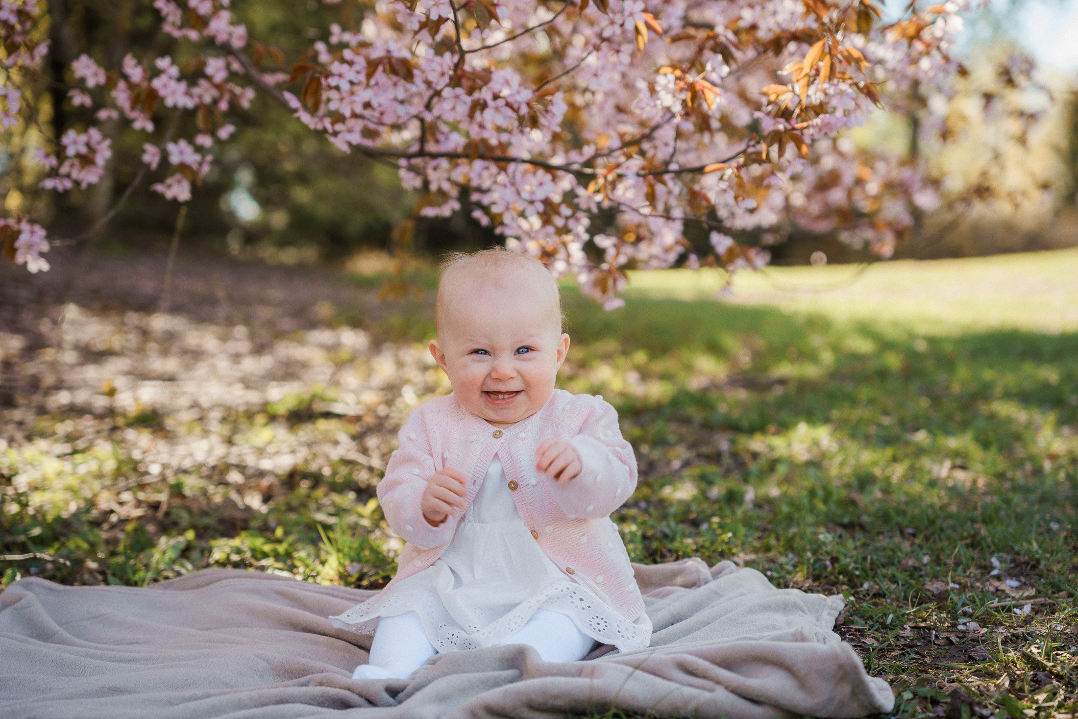 Perhekuvaus kirsikkapuistossa