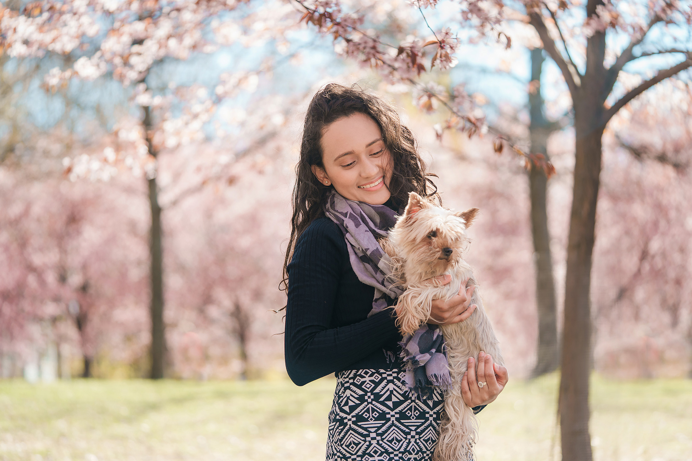 Koirien, kissojen, hevostenkuvaus