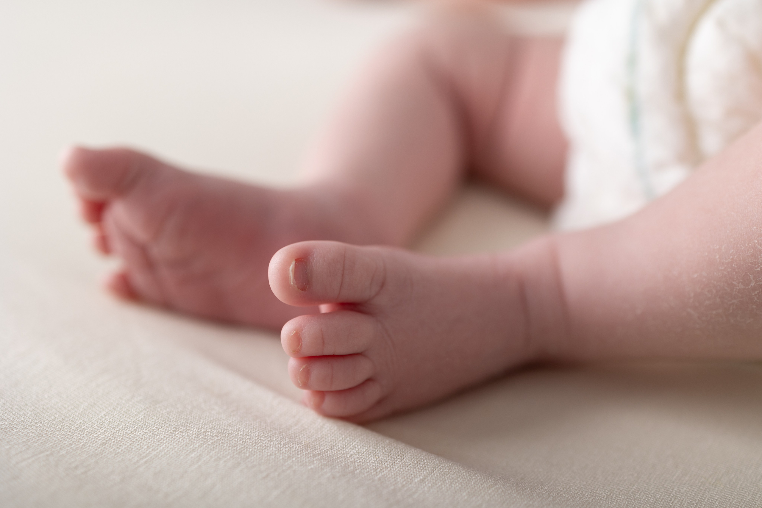 Leo, Mis Primeros Días