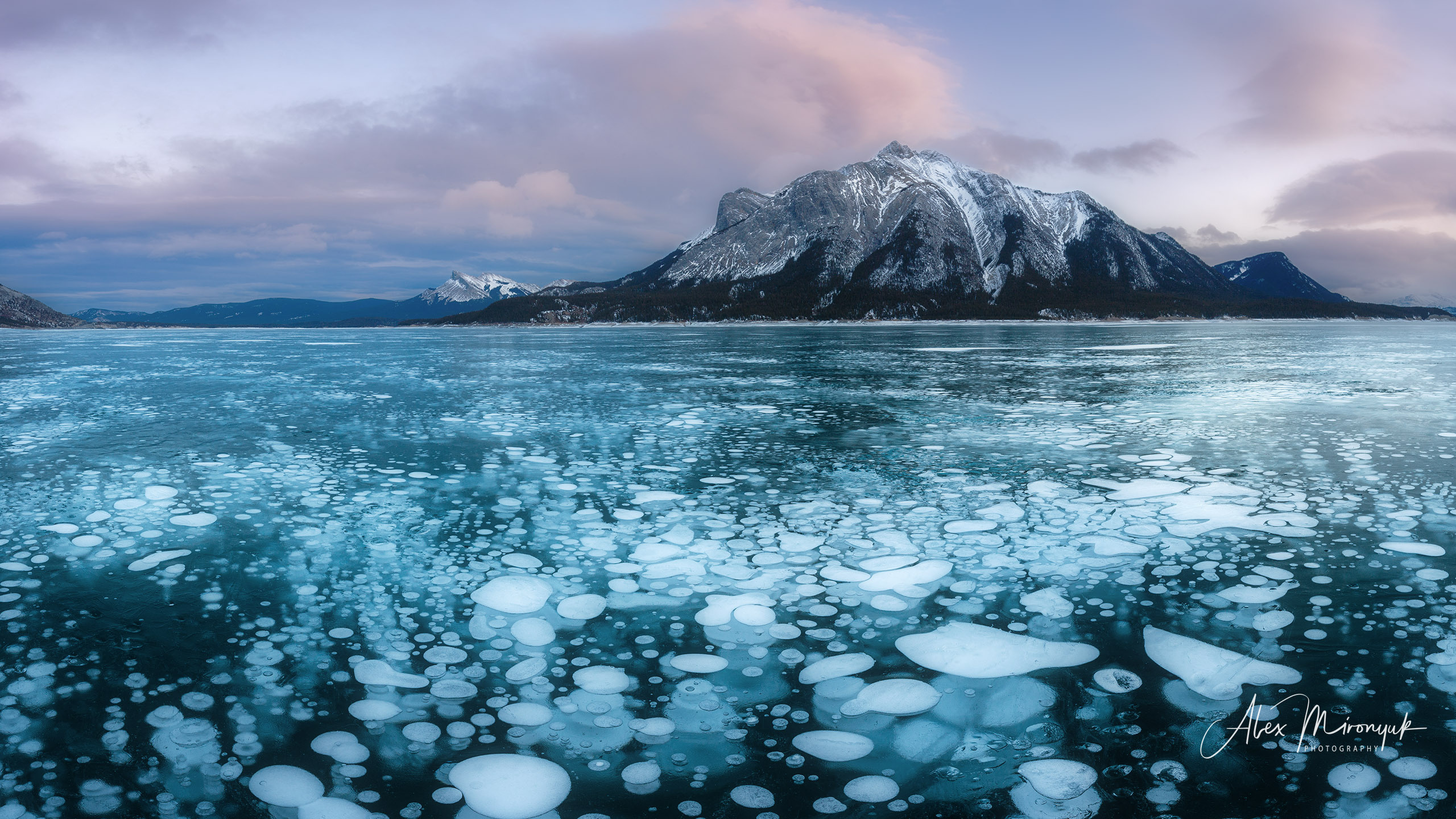 Photographing Winter Wonderland — Canada. Pet, Senior, Landscape, portrait studio, photographer in Miami and Sou