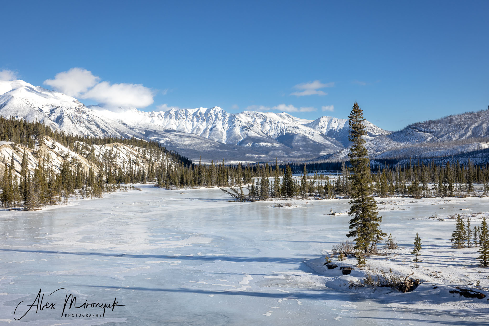Photographing Winter Wonderland — Canada. Pet, Senior, Landscape, portrait studio, photographer in Miami and Sou