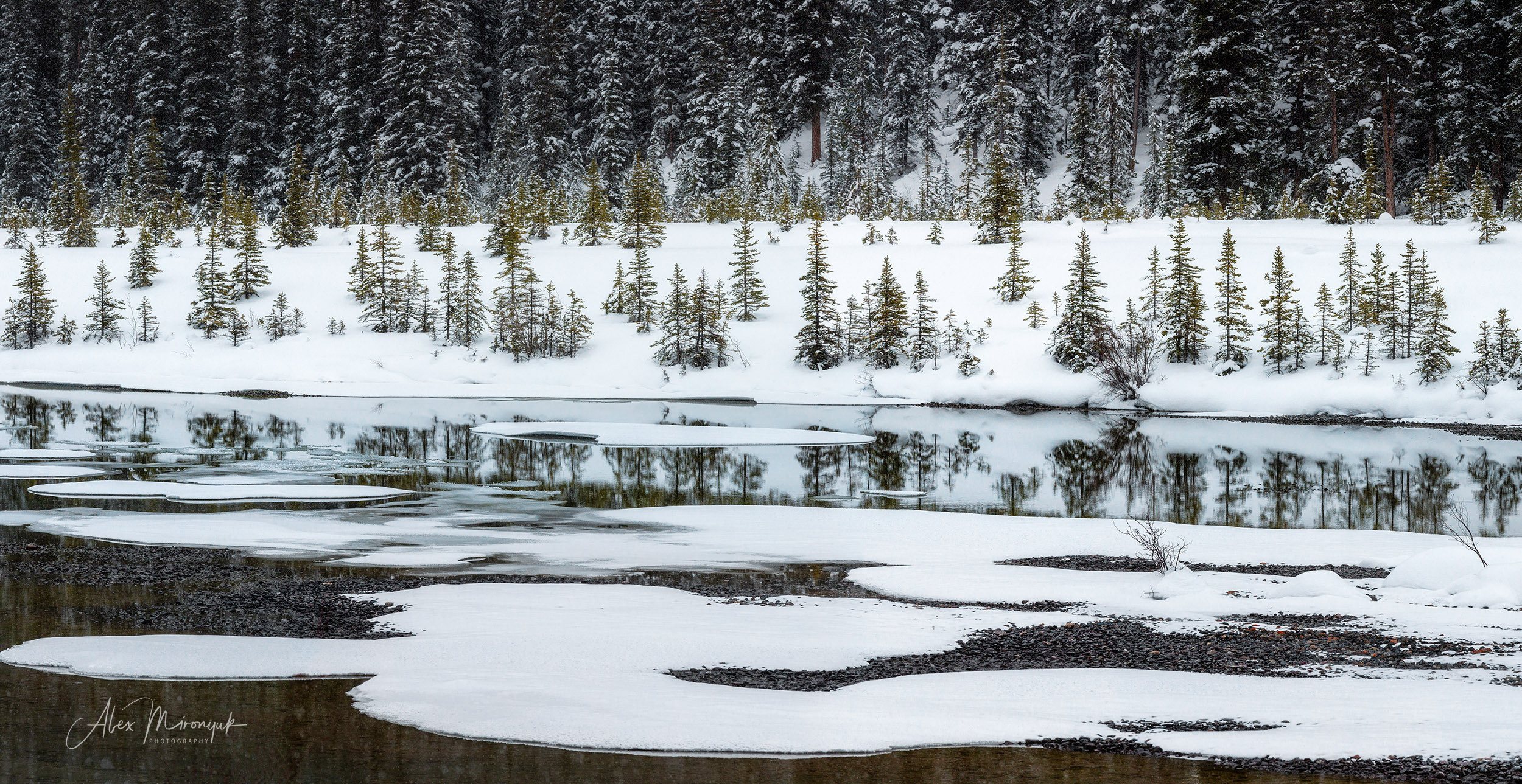 Photographing Winter Wonderland — Canada. Pet, Senior, Landscape, portrait studio, photographer in Miami and Sou