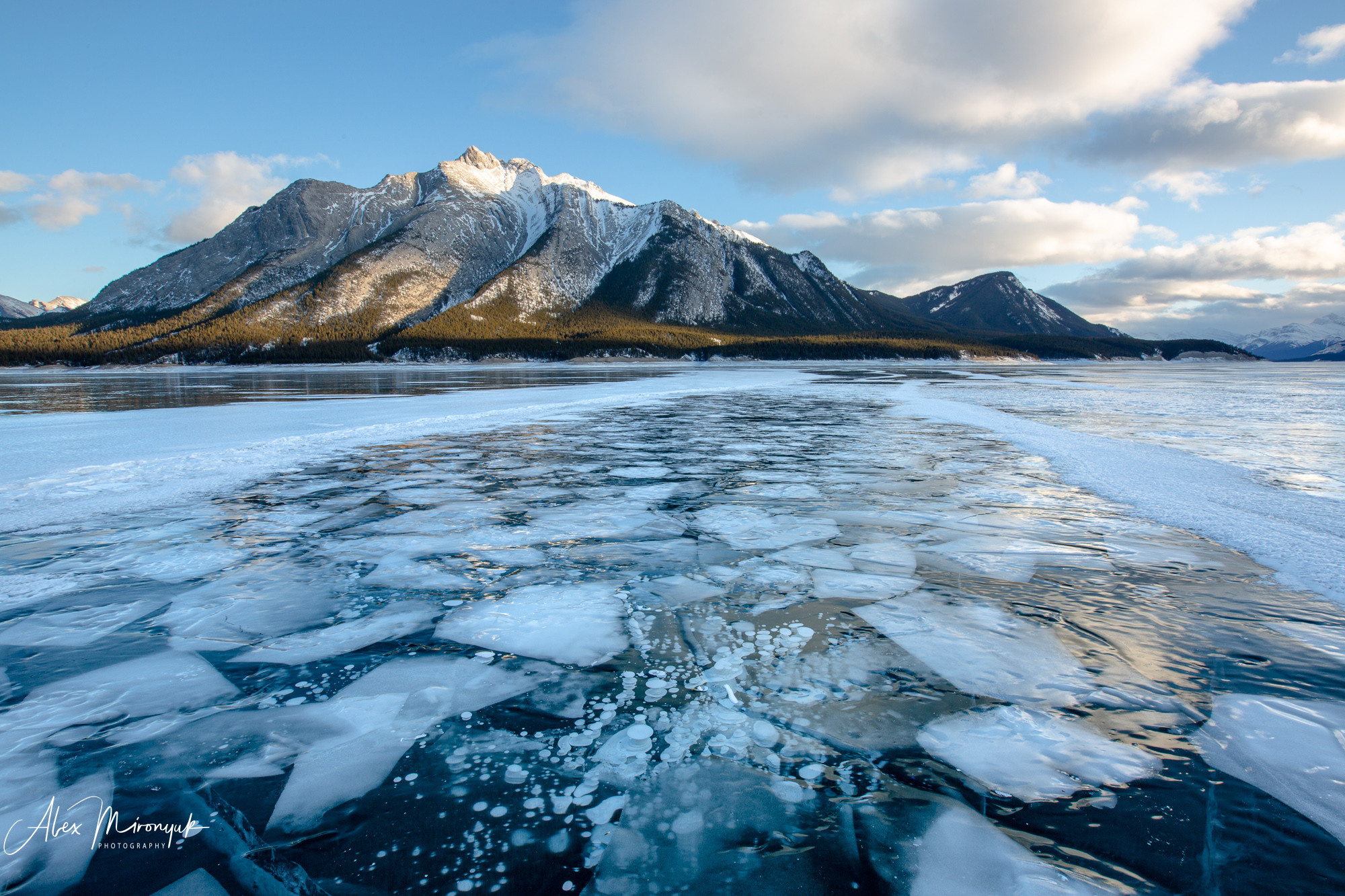 Photographing Winter Wonderland — Canada. Pet, Senior, Landscape, portrait studio, photographer in Miami and Sou