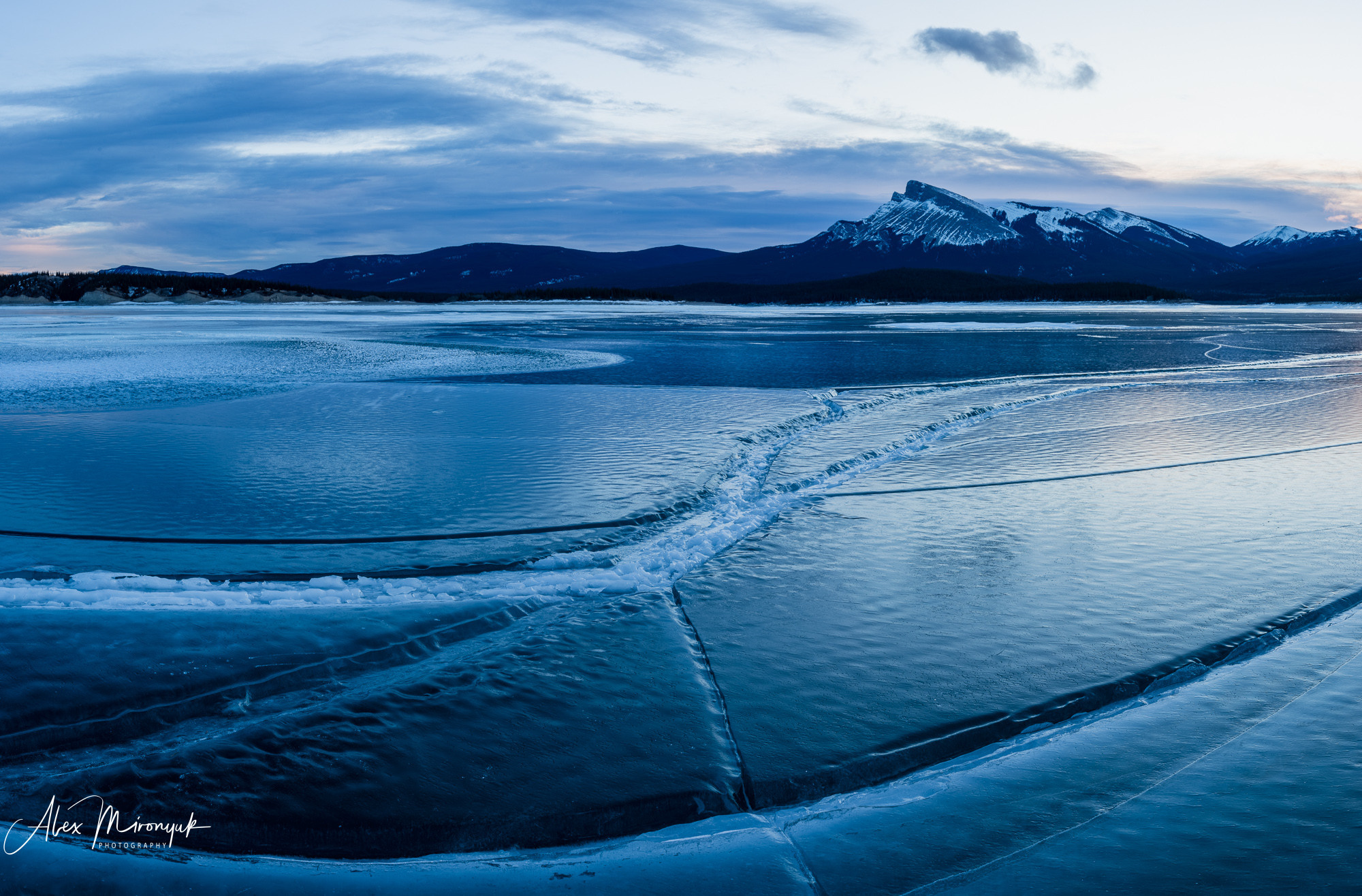 Photographing Winter Wonderland — Canada. Pet, Senior, Landscape, portrait studio, photographer in Miami and Sou